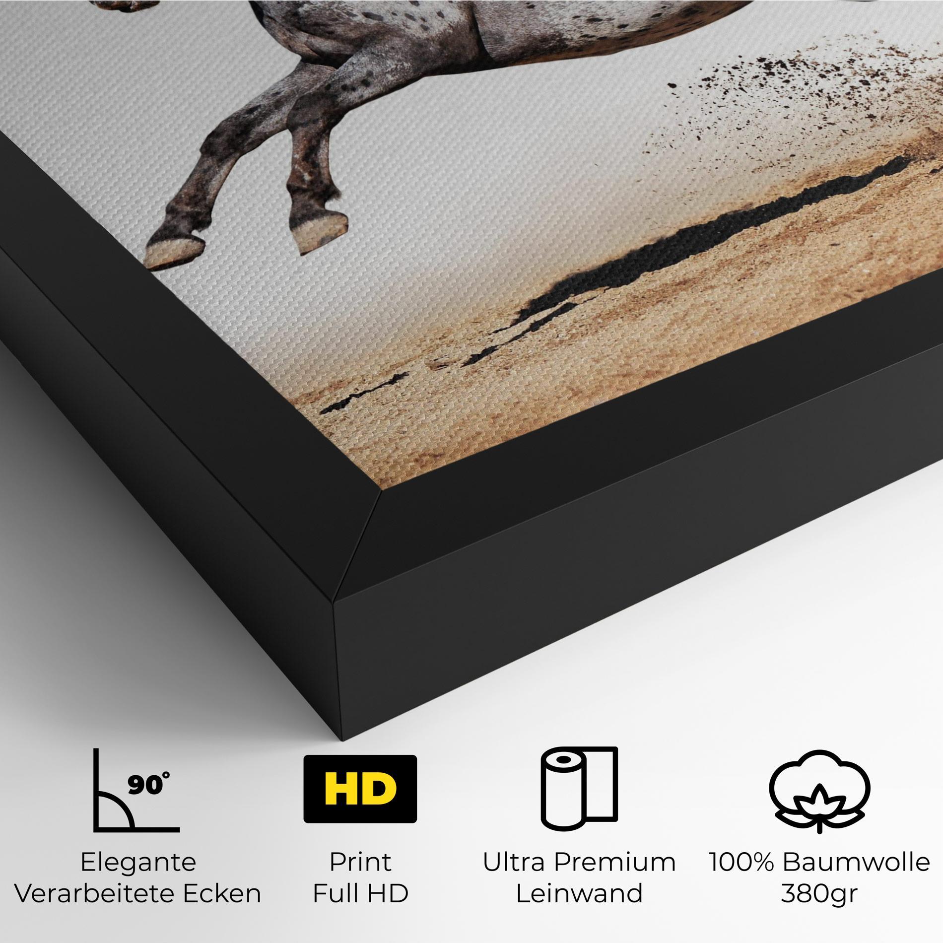 Leinwandbild Appaloosa Horse Running mockup 4