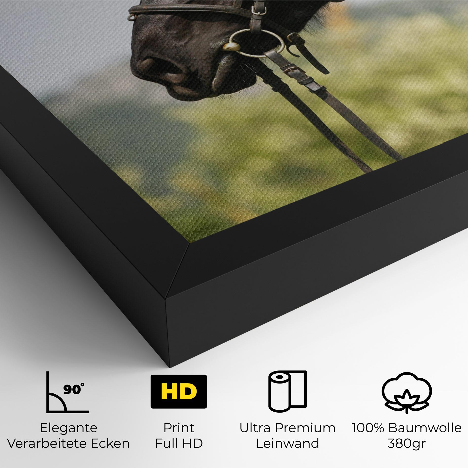 Leinwandbild Big Ear Horse mockup 4