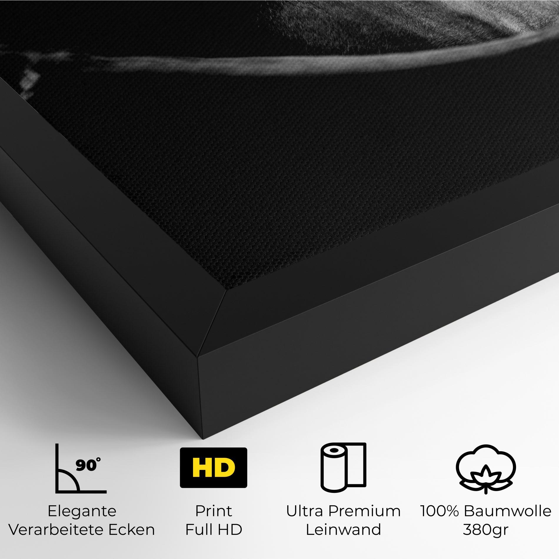 Leinwandbild Black Horse Looking mockup 4