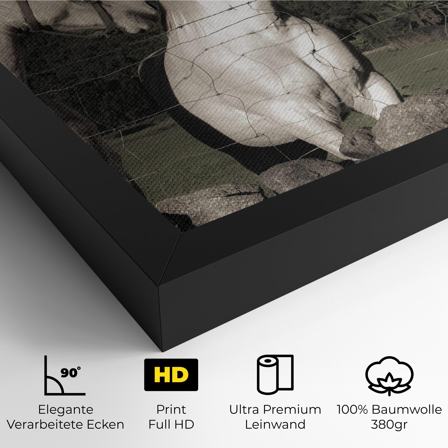 Leinwandbild White Grey Horse mockup 4