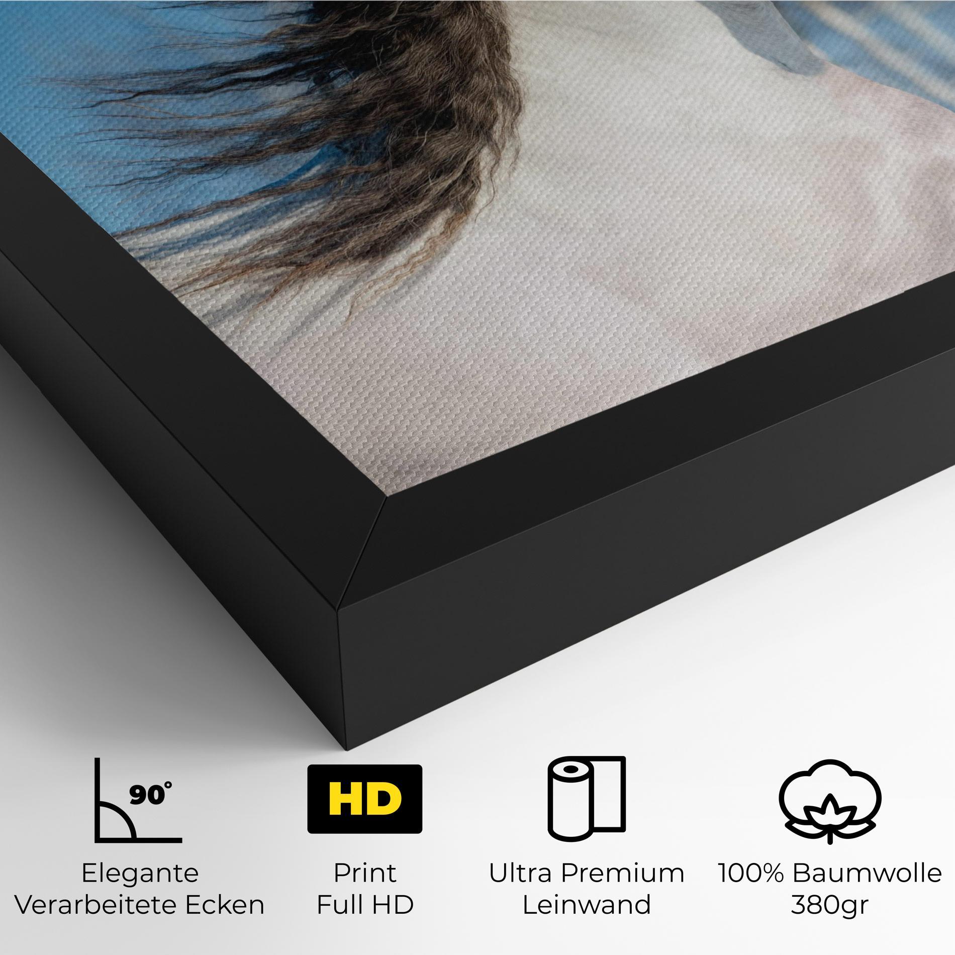 Leinwandbild Wild Black Hair Horse mockup 4