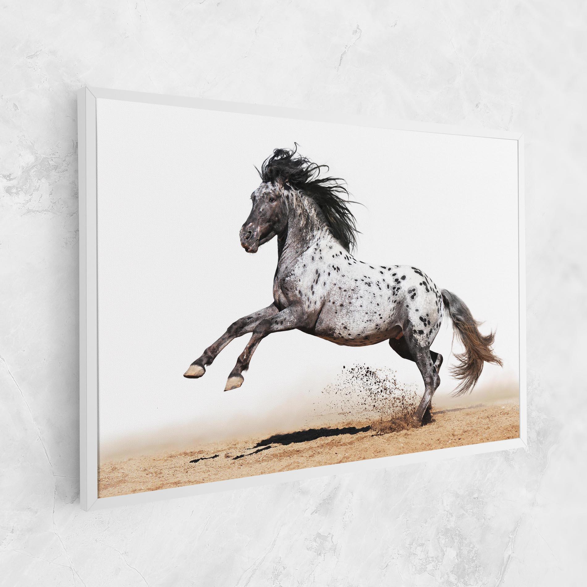 Leinwandbild Appaloosa Horse Running mockup 1