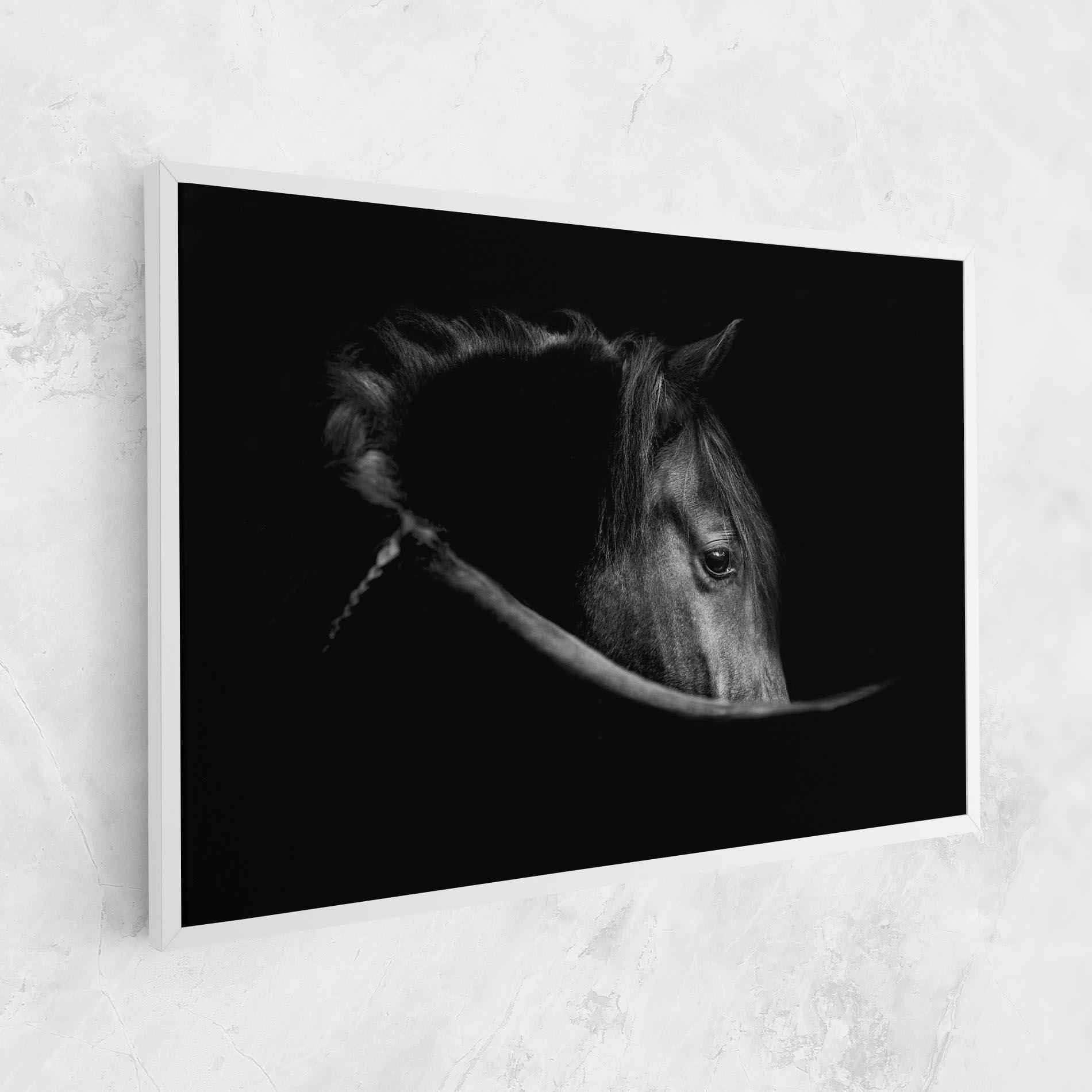 Leinwandbild Black Horse Looking mockup 1