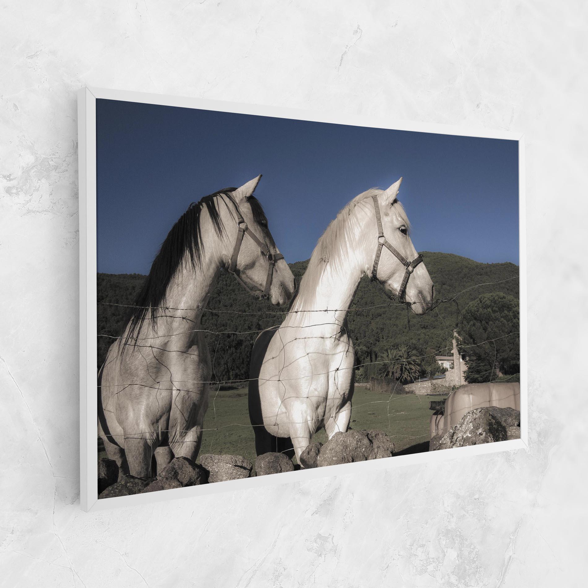 Leinwandbild White Grey Horse mockup 1