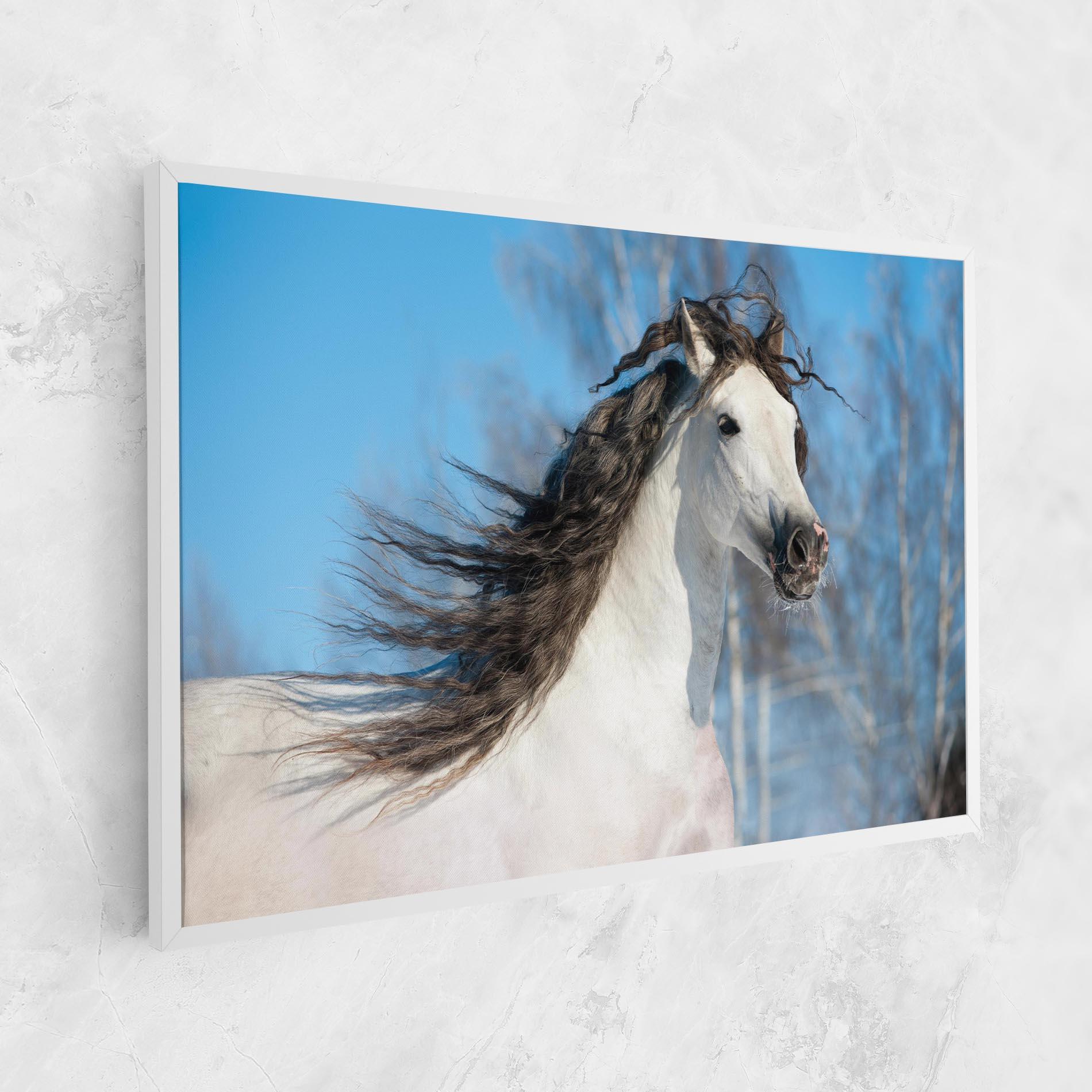 Leinwandbild Wild Black Hair Horse mockup 1
