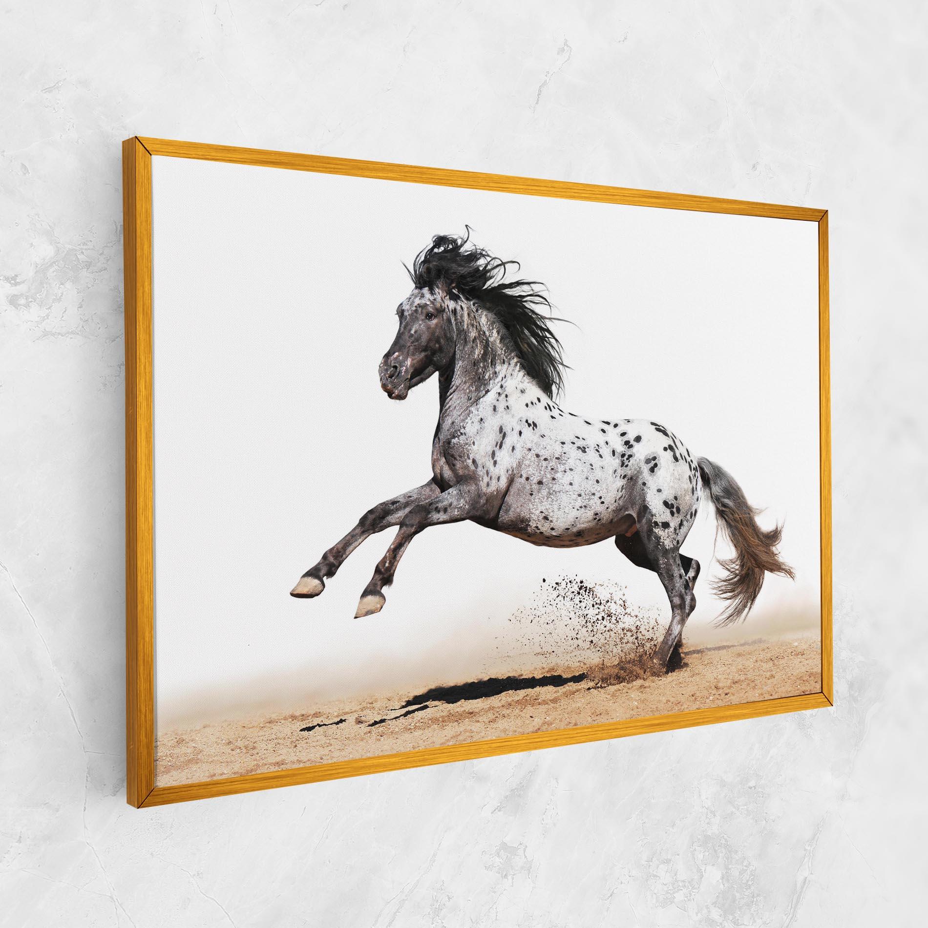 Leinwandbild Appaloosa Horse Running mockup 1