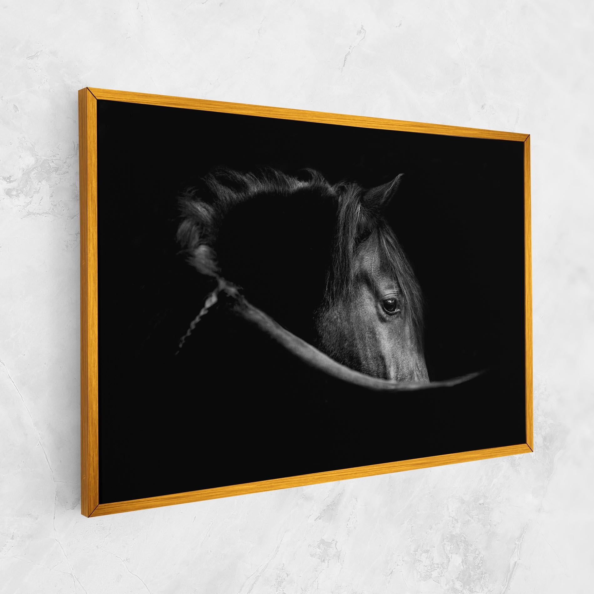 Leinwandbild Black Horse Looking mockup 1