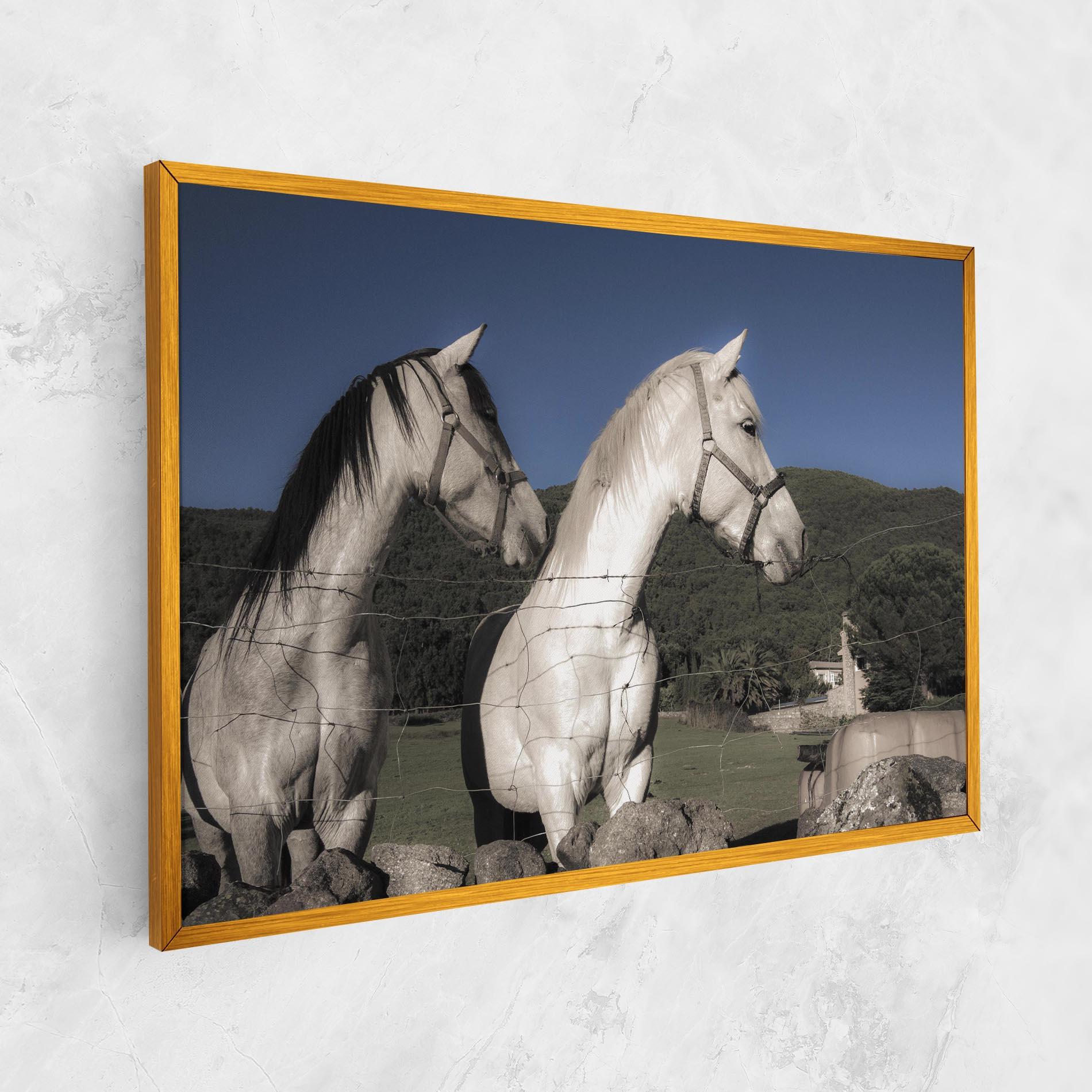Leinwandbild White Grey Horse mockup 1