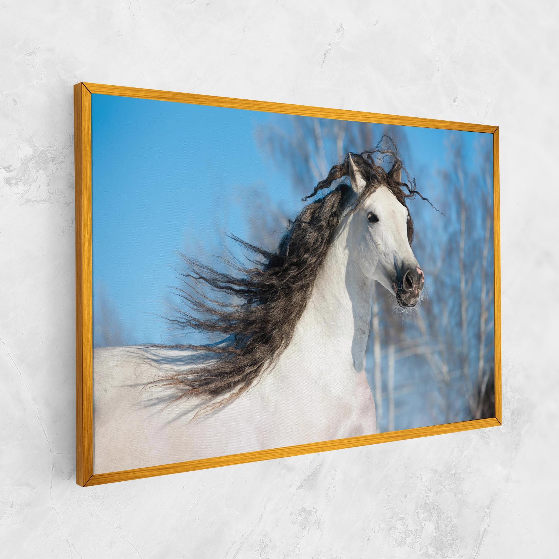 Leinwandbild Wild Black Hair Horse mockup 1