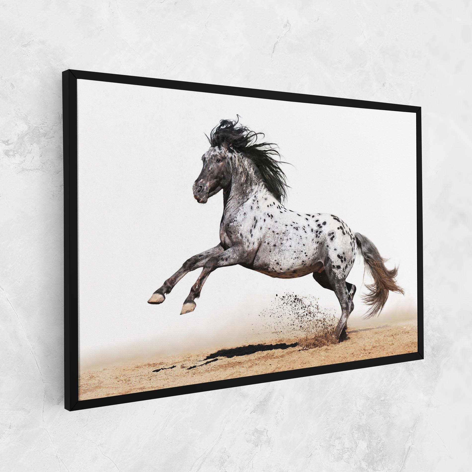 Leinwandbild Appaloosa Horse Running mockup 1