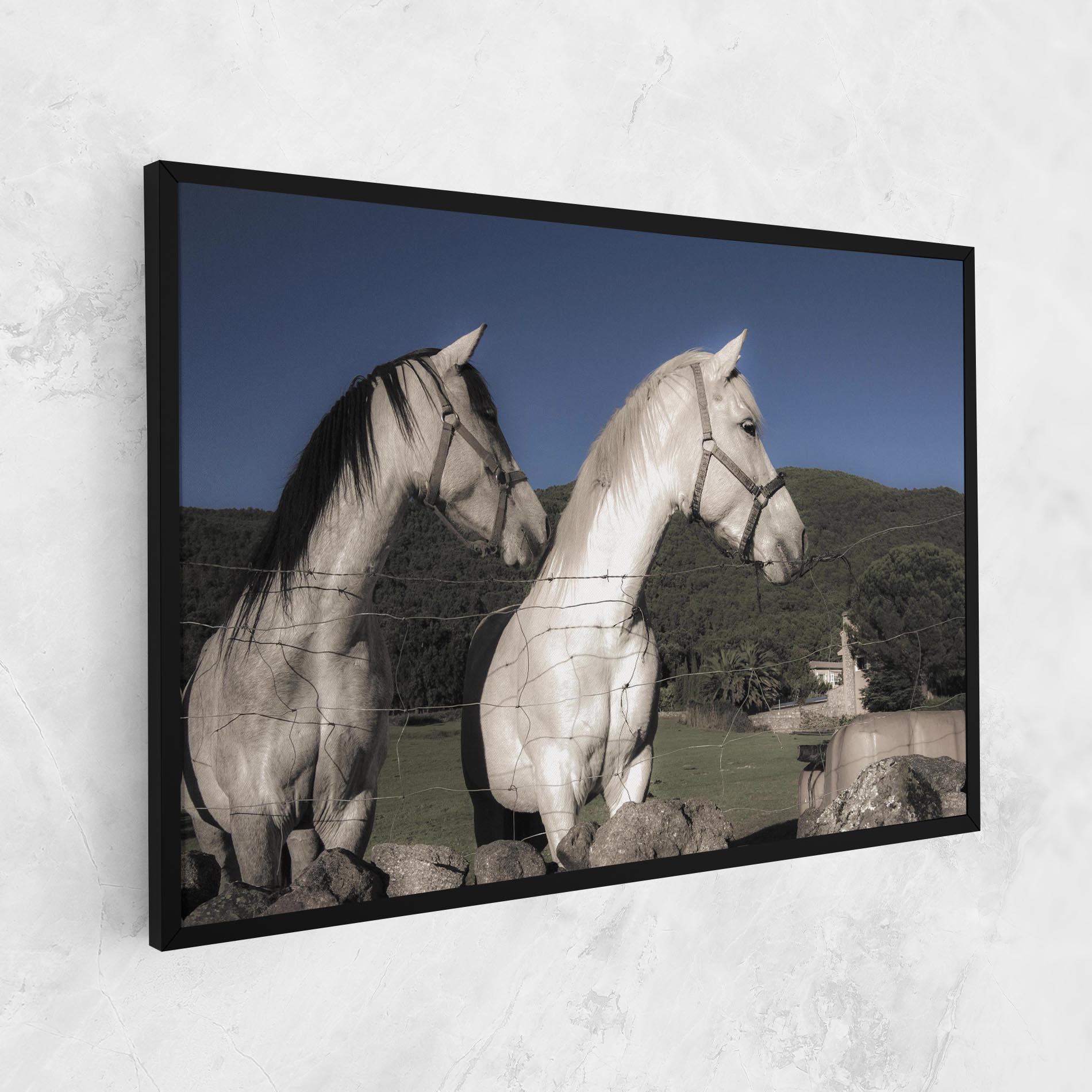 Leinwandbild White Grey Horse mockup 1