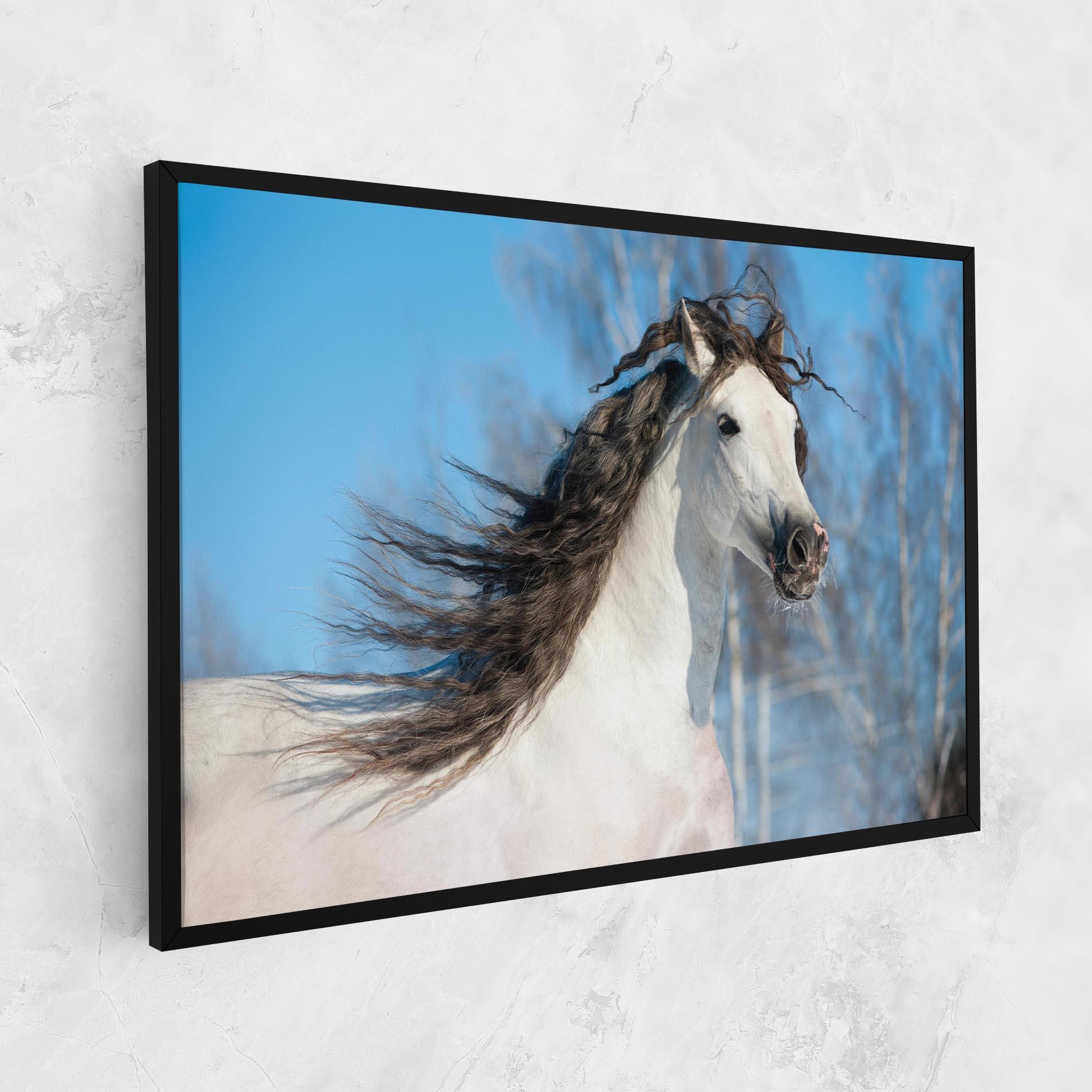 Leinwandbild Wild Black Hair Horse mockup 1