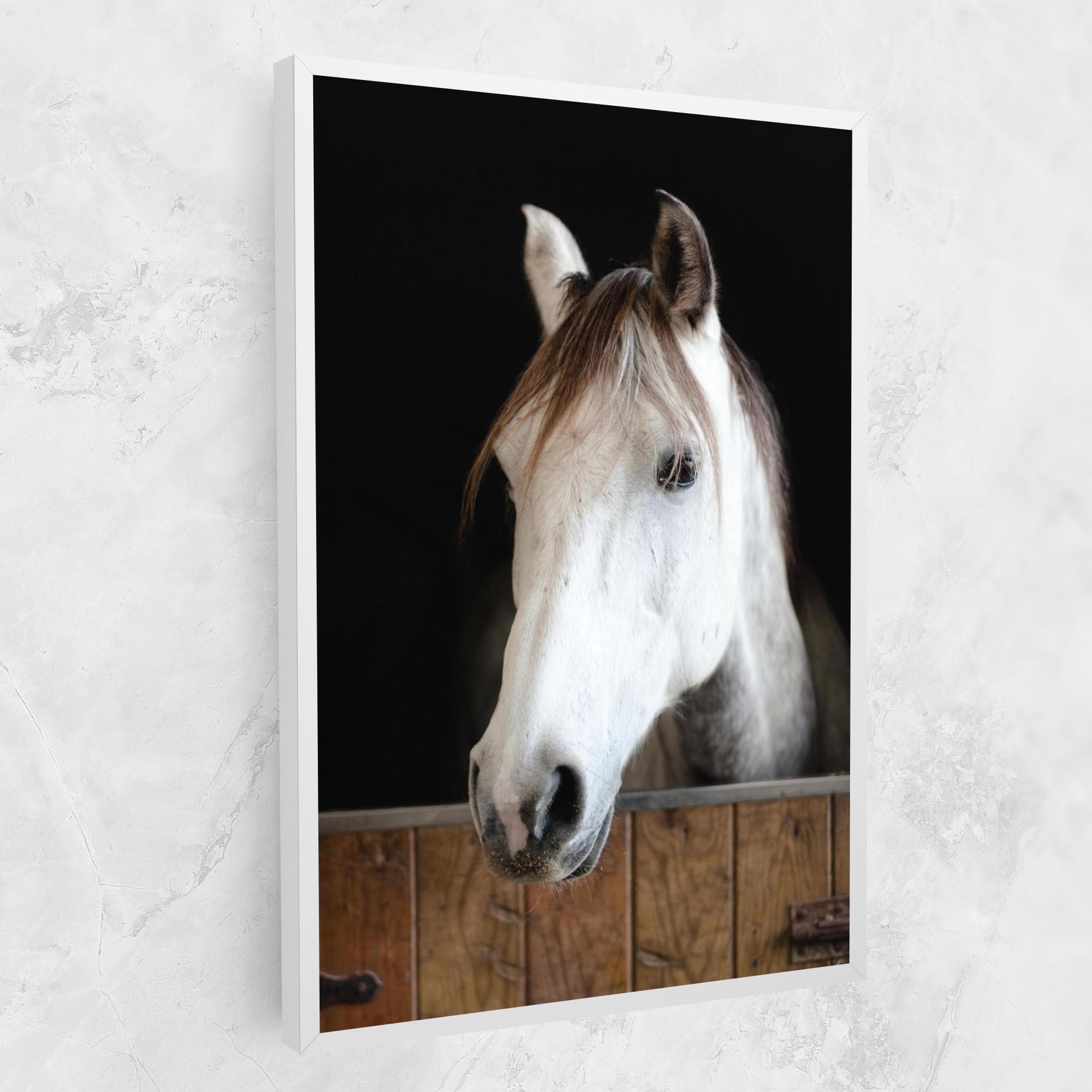 Leinwandbild Grey Horse Head mockup 1