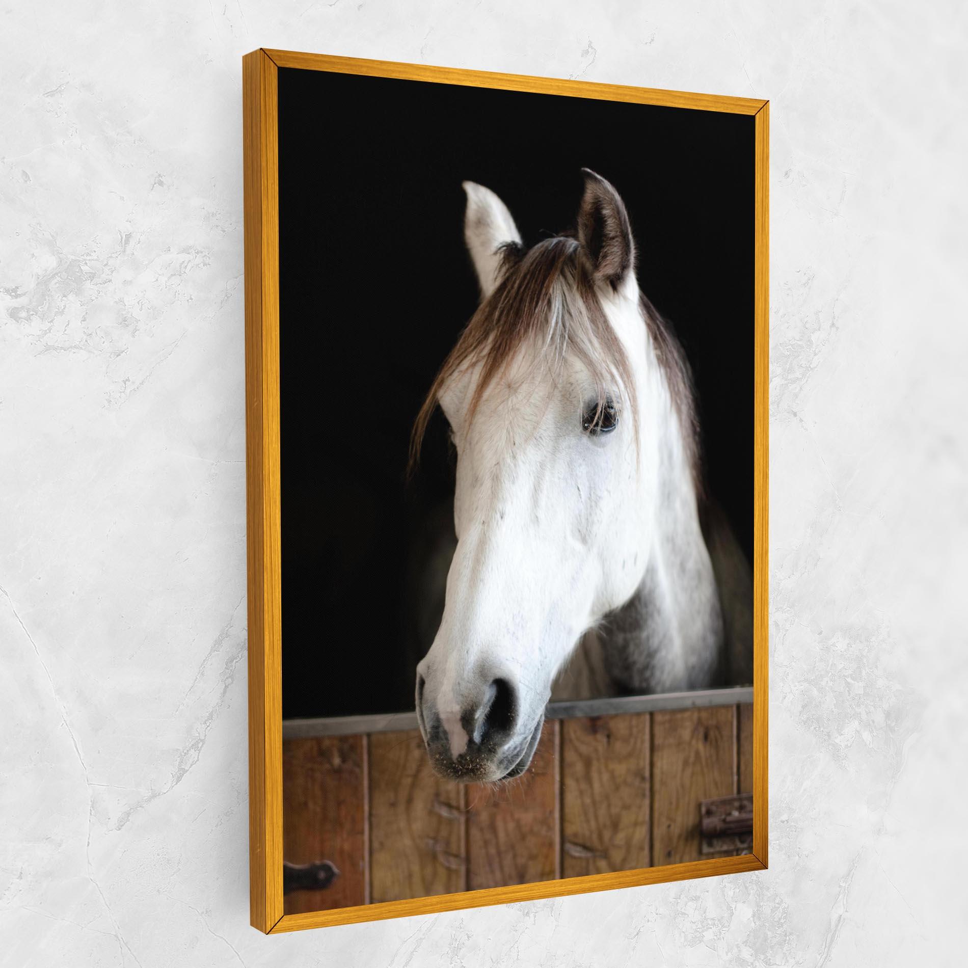 Leinwandbild Grey Horse Head mockup 1