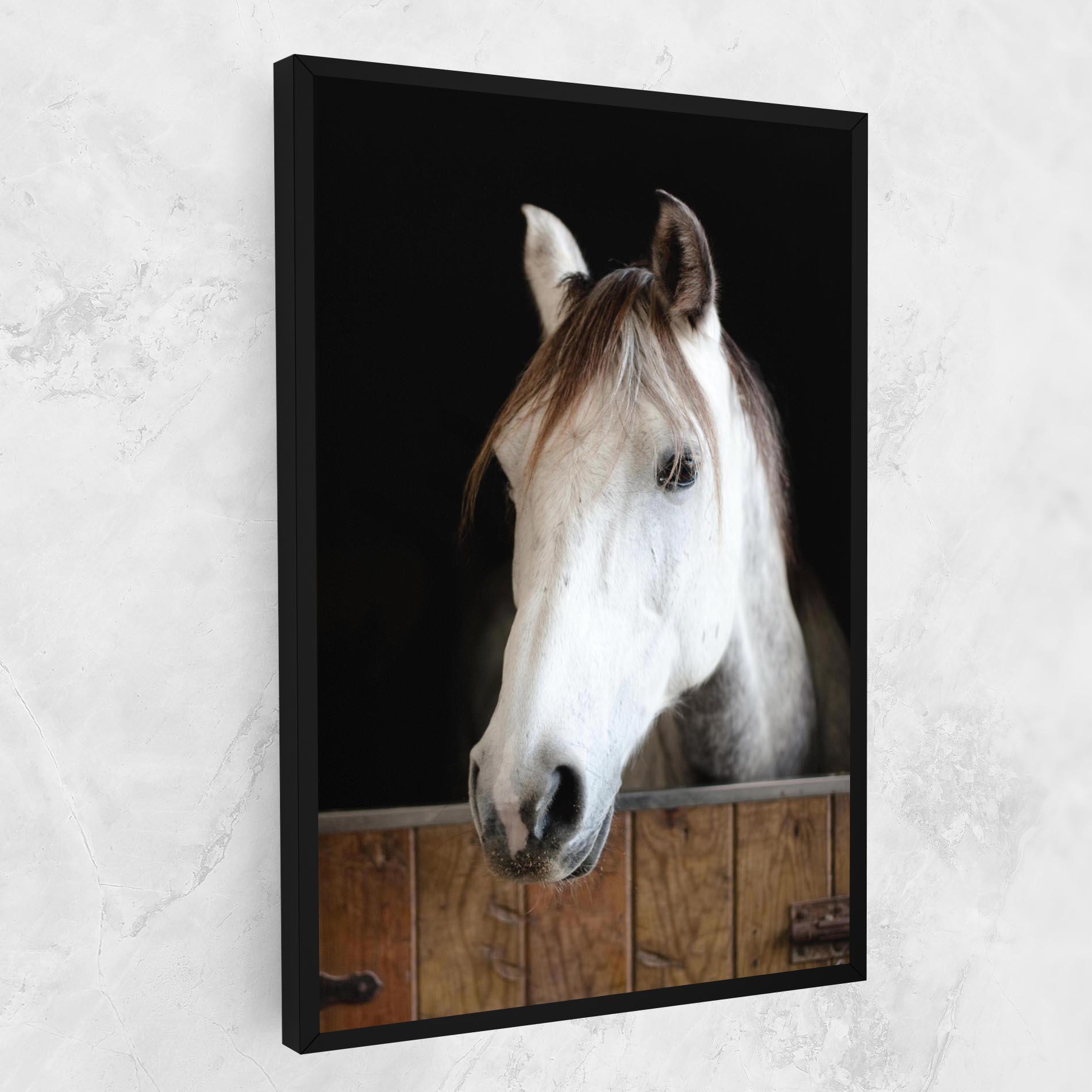 Leinwandbild Grey Horse Head mockup 1
