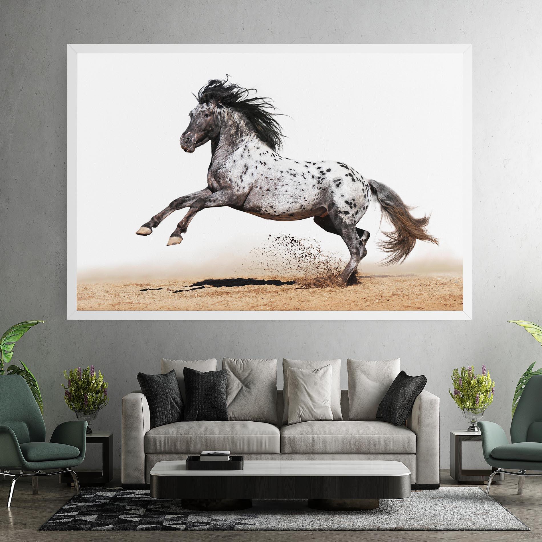 Leinwandbild Appaloosa Horse Running mockup 7