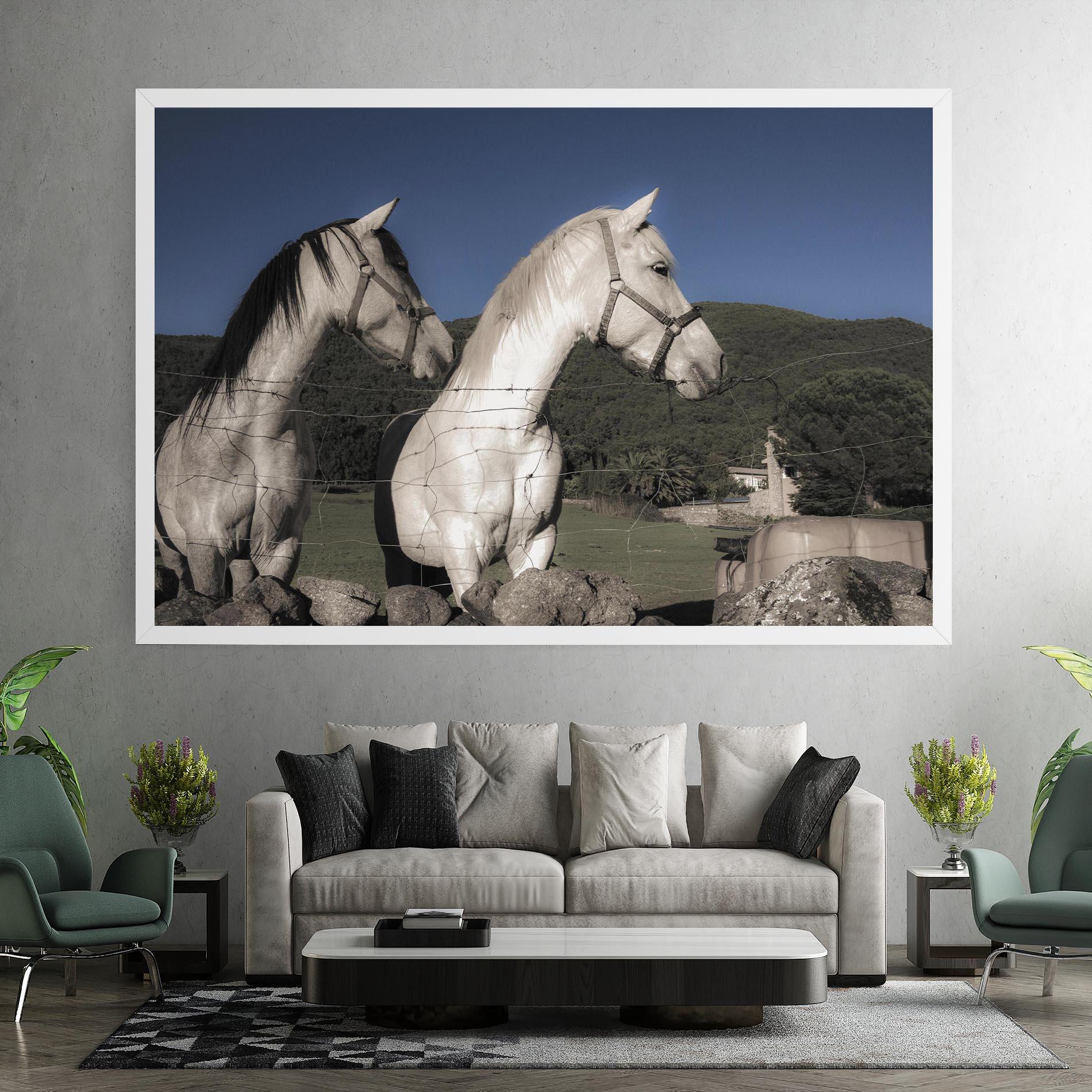 Leinwandbild White Grey Horse mockup 7