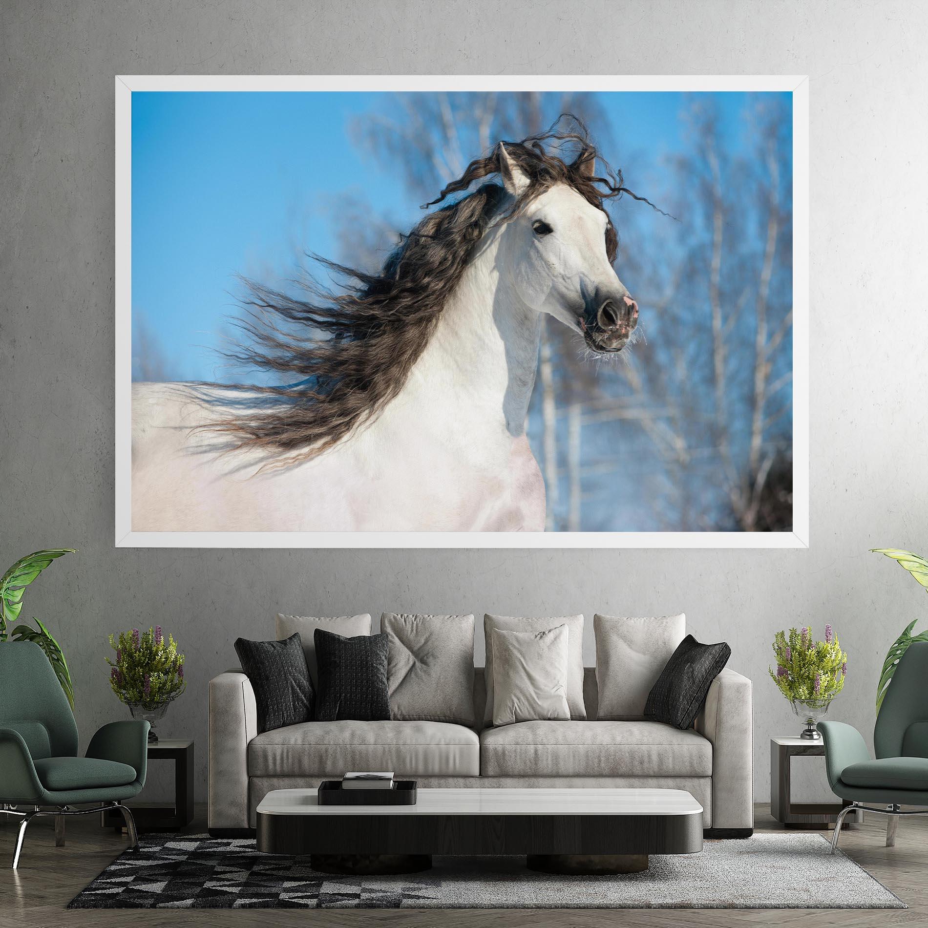 Leinwandbild Wild Black Hair Horse mockup 7