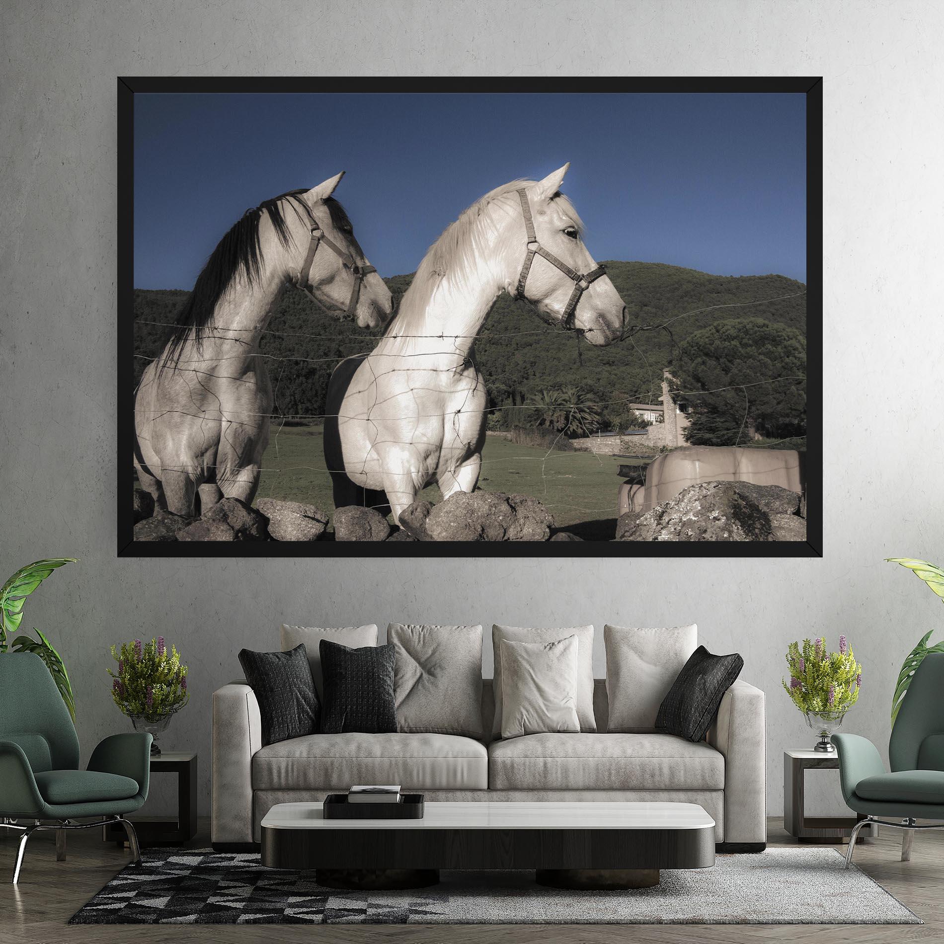 Leinwandbild White Grey Horse mockup 7