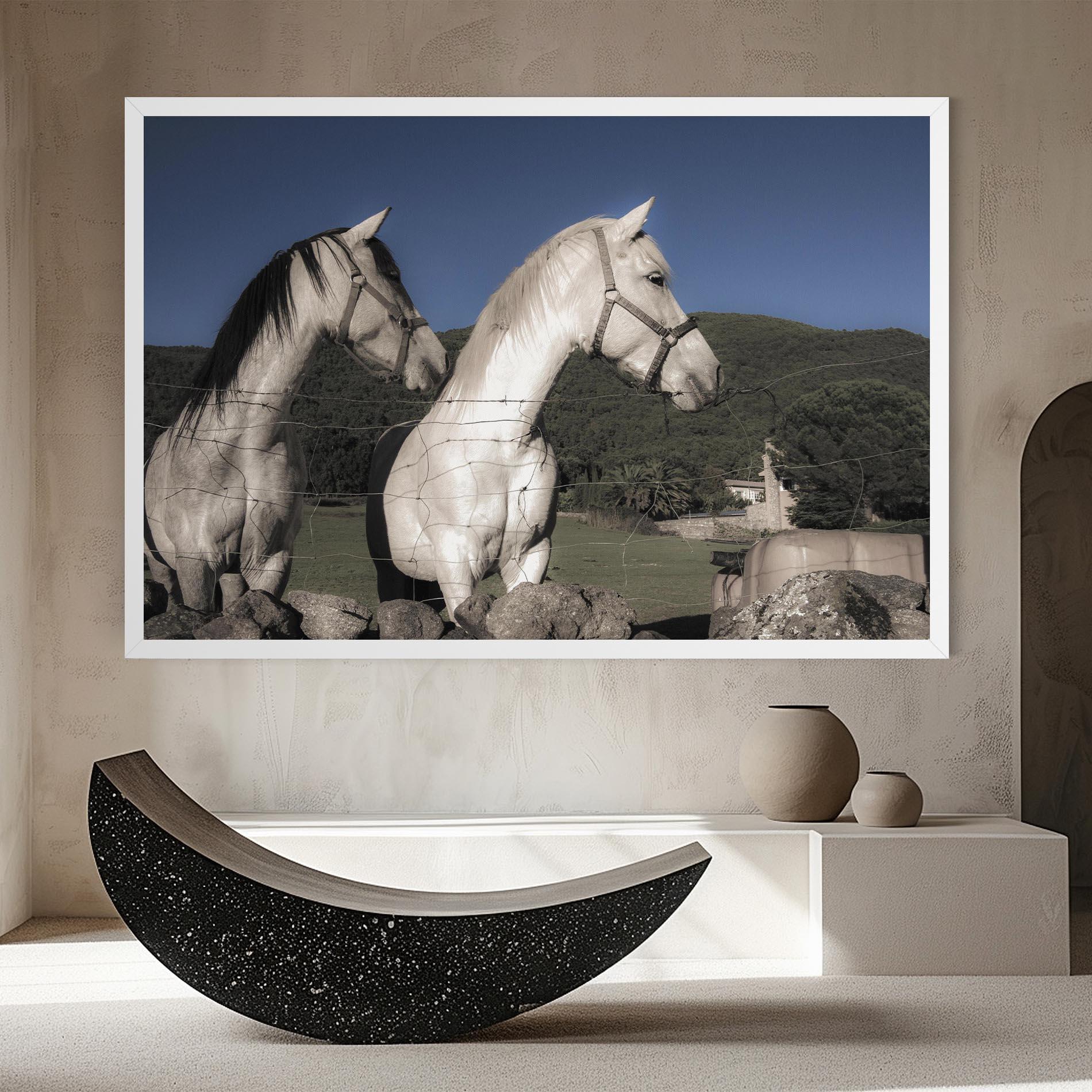 Leinwandbild White Grey Horse mockup 8