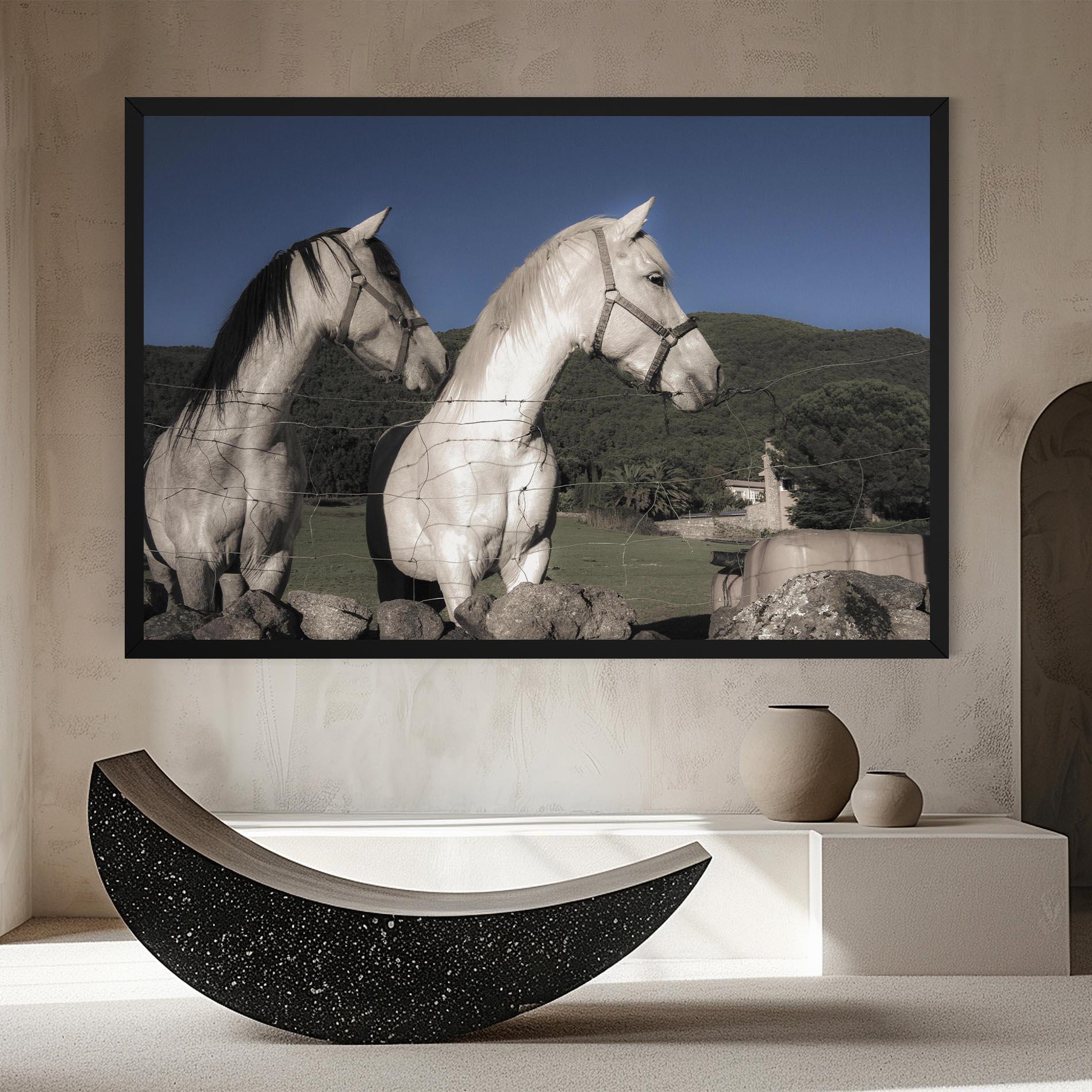 Leinwandbild White Grey Horse mockup 8