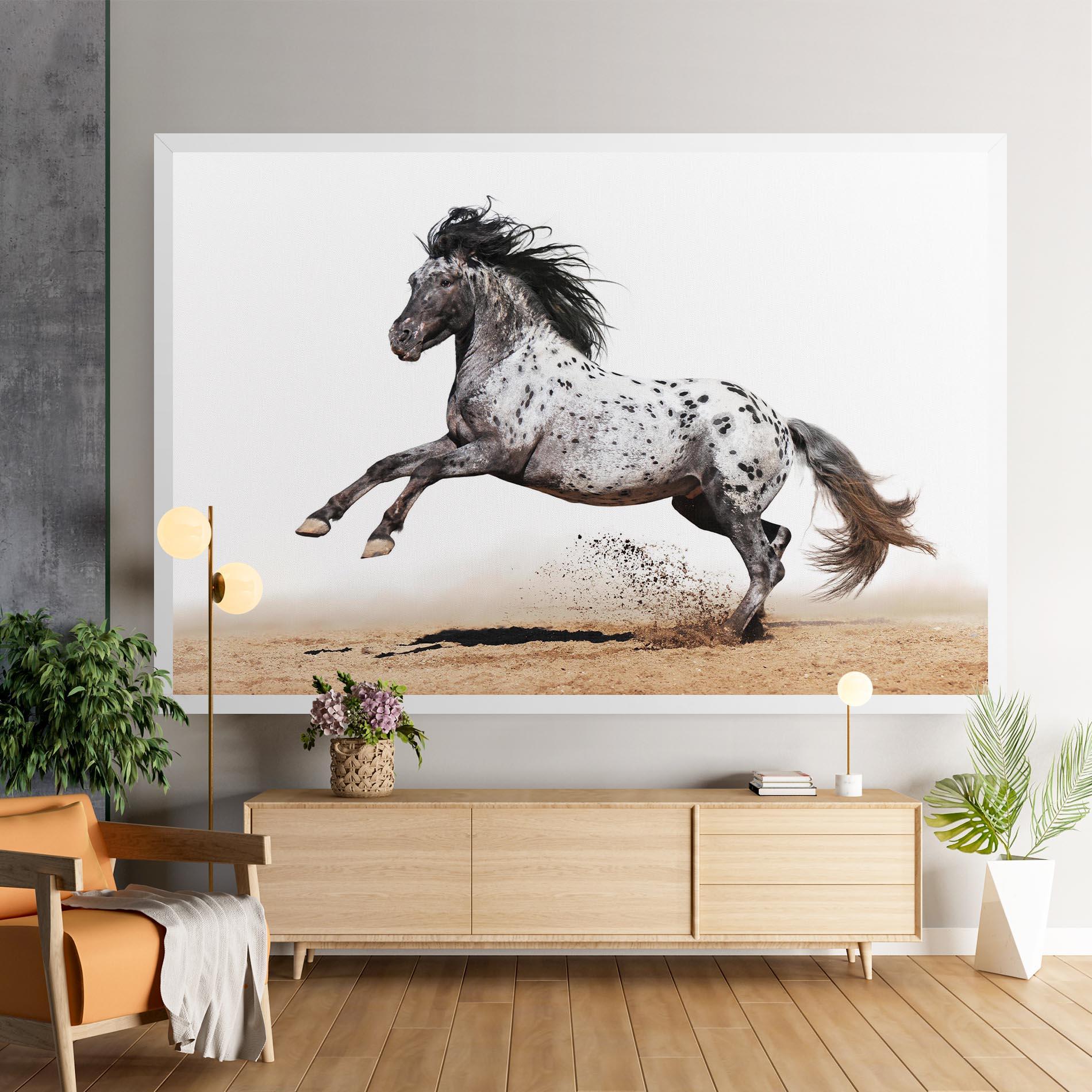 Leinwandbild Appaloosa Horse Running mockup 9