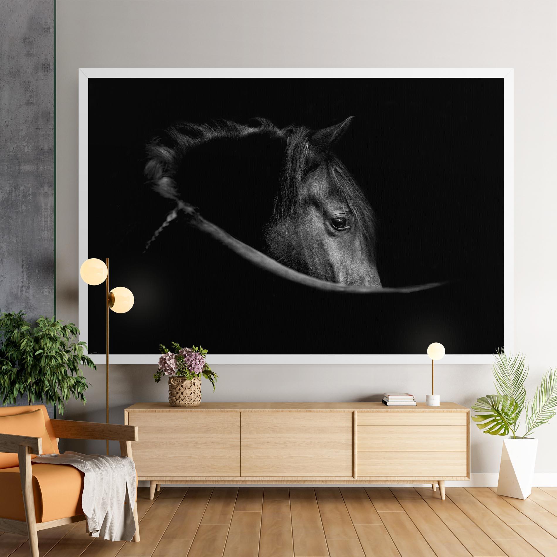 Leinwandbild Black Horse Looking mockup 9