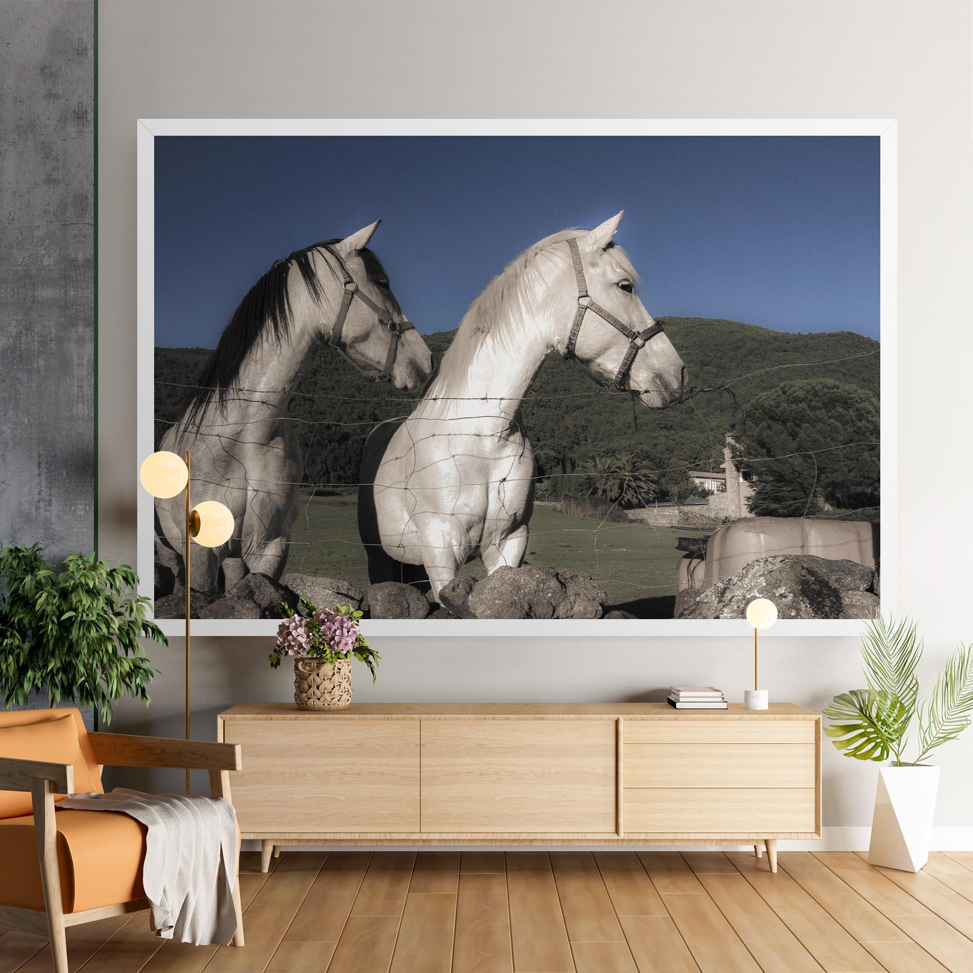Leinwandbild White Grey Horse mockup 9
