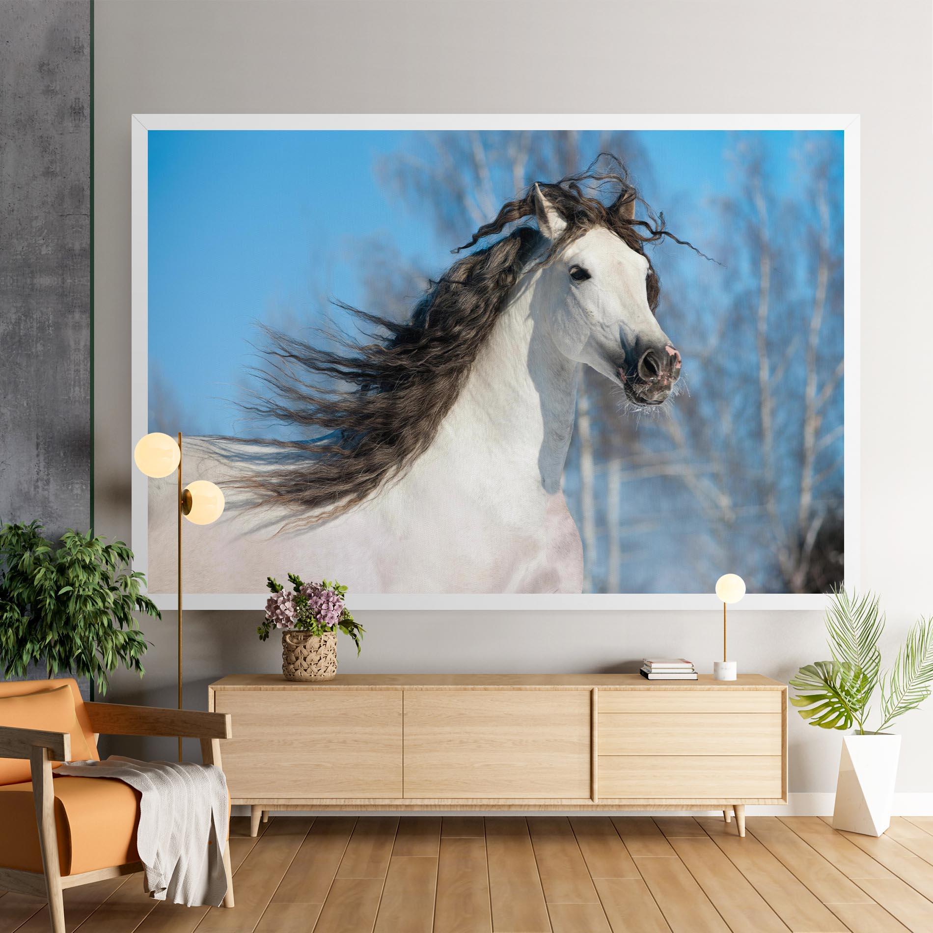 Leinwandbild Wild Black Hair Horse mockup 9