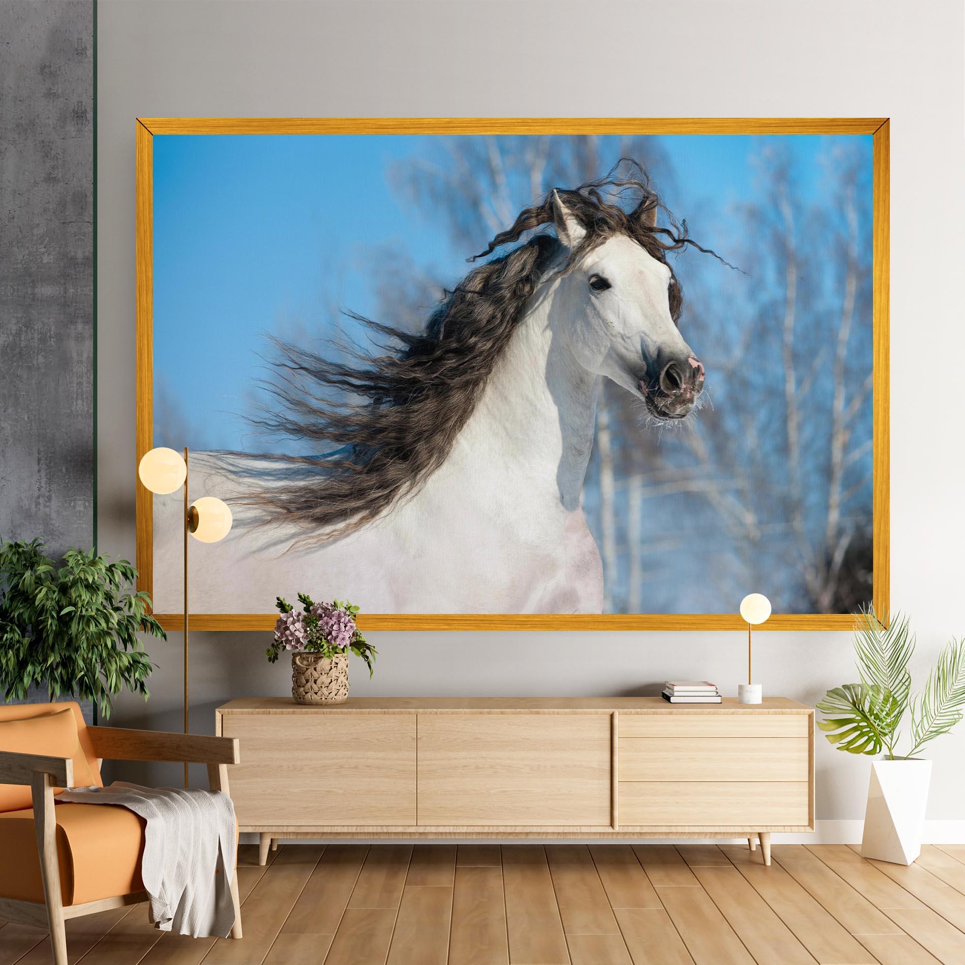 Leinwandbild Wild Black Hair Horse mockup 9