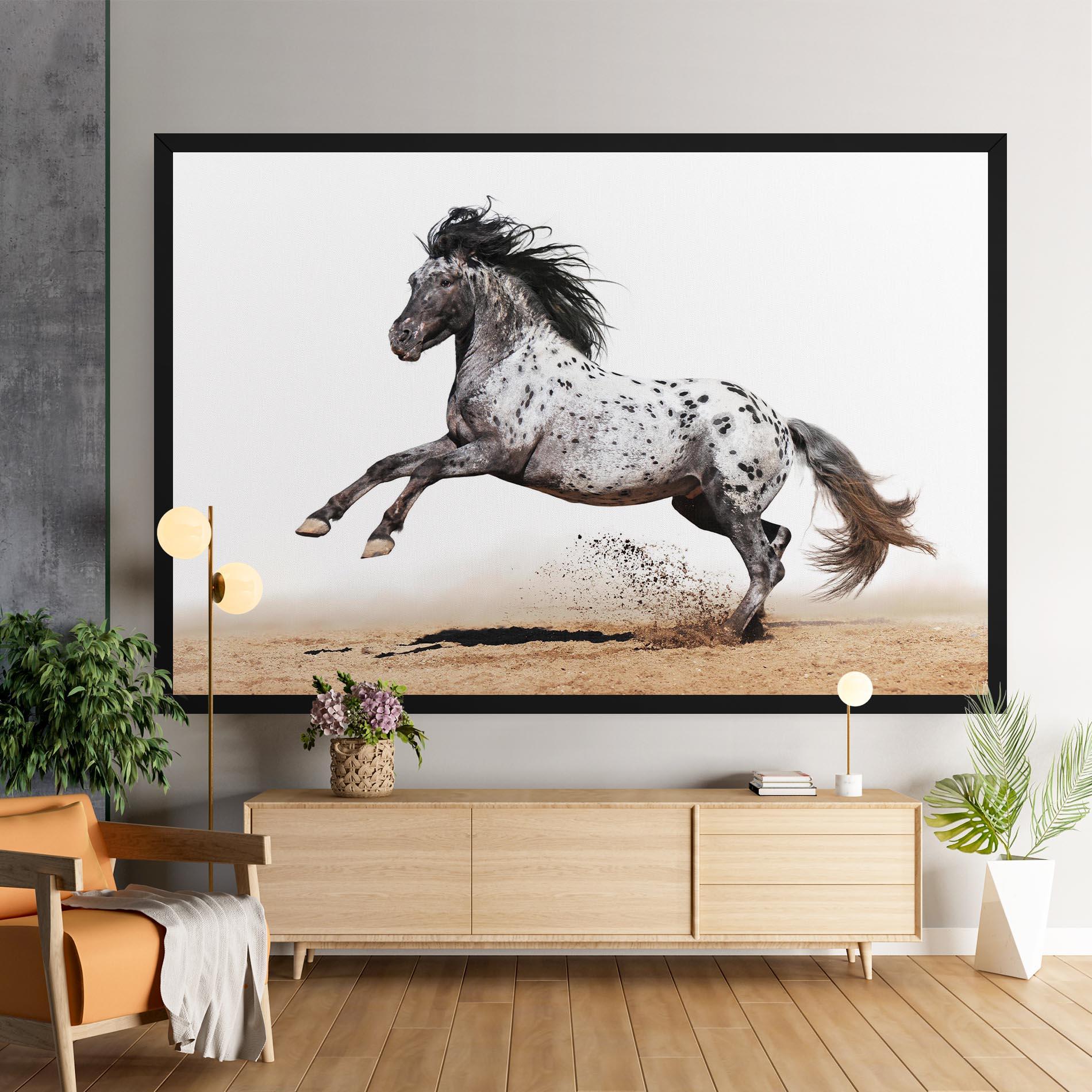 Leinwandbild Appaloosa Horse Running mockup 9