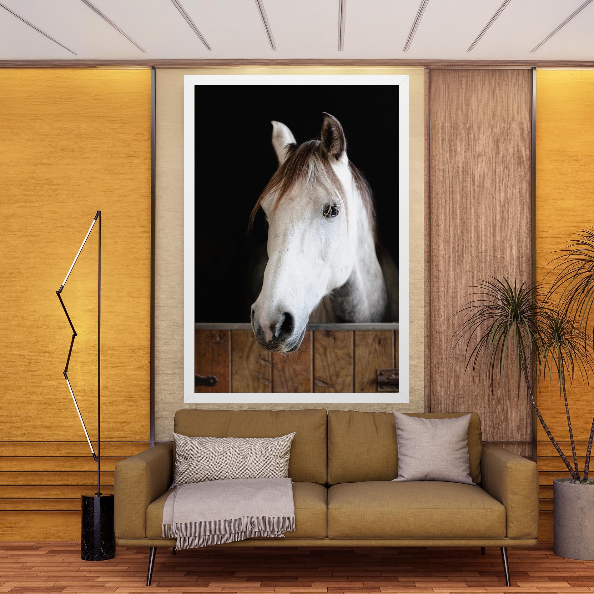 Leinwandbild Grey Horse Head mockup 9