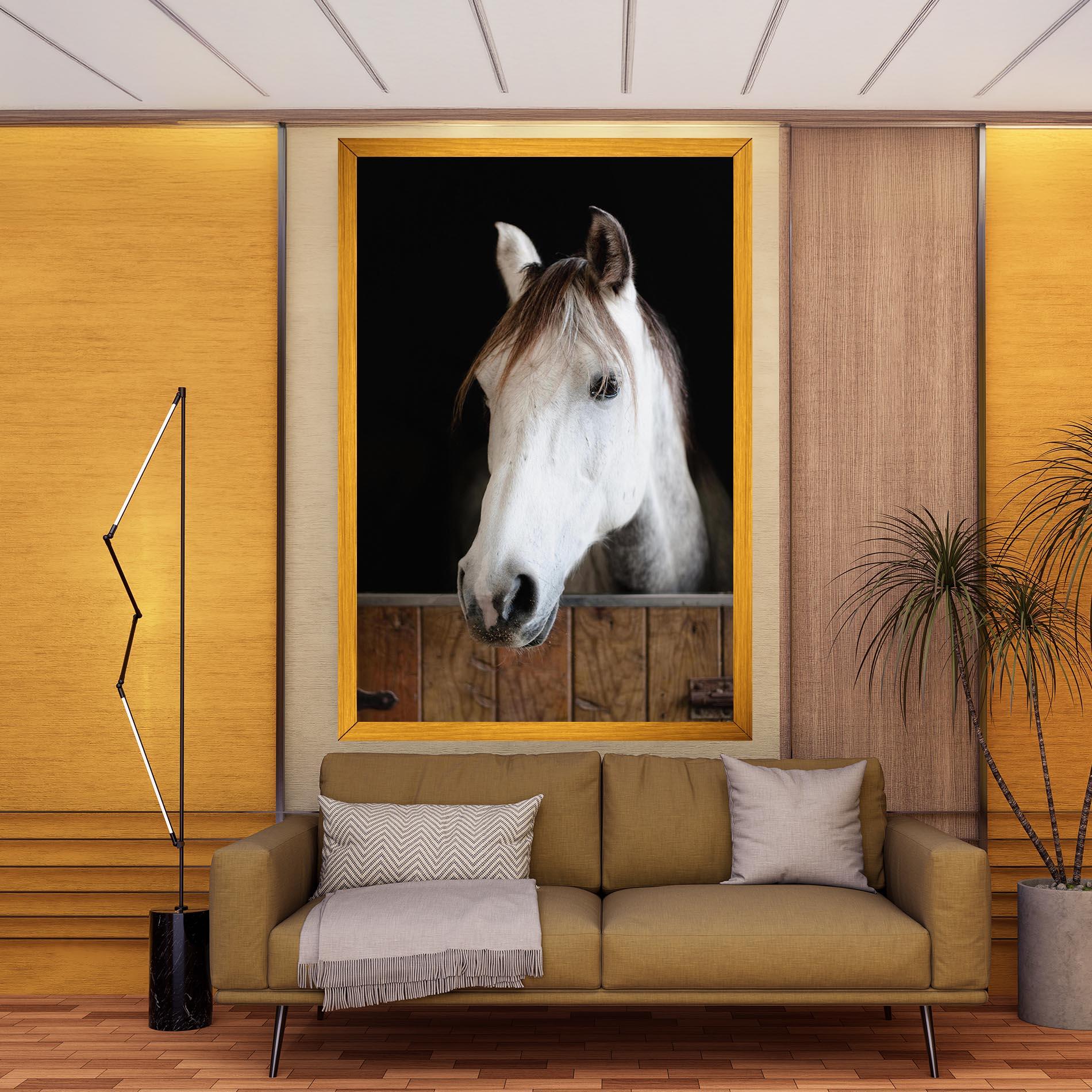 Leinwandbild Grey Horse Head mockup 9