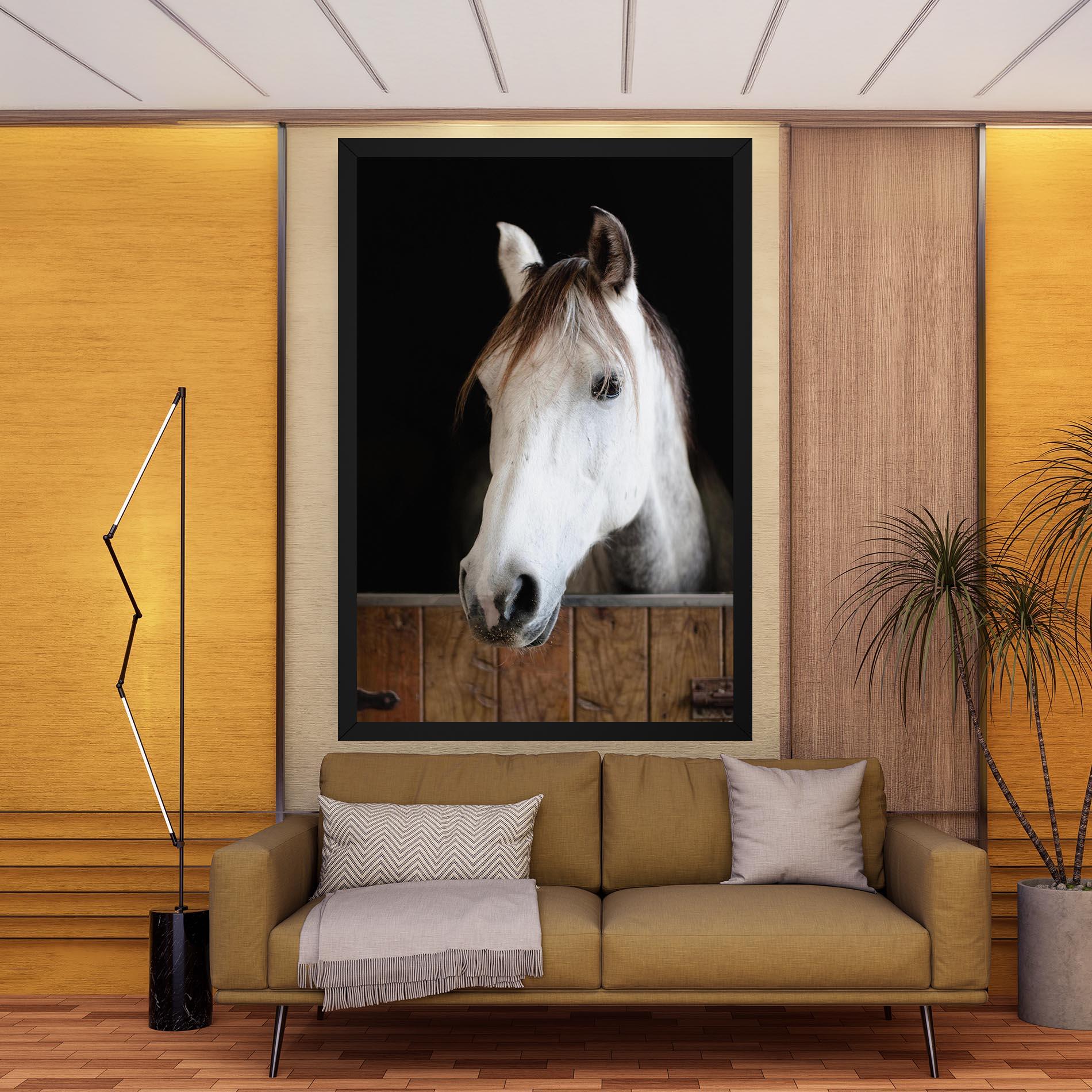 Leinwandbild Grey Horse Head mockup 9