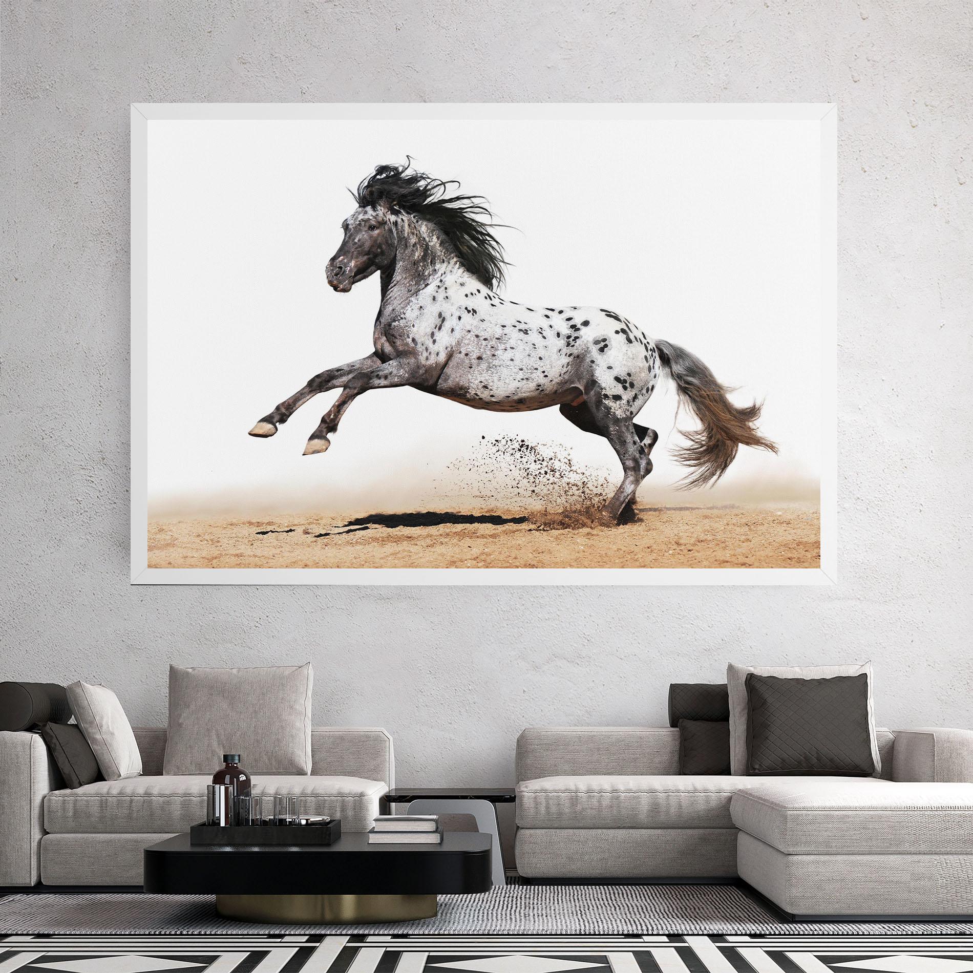 Leinwandbild Appaloosa Horse Running mockup 2