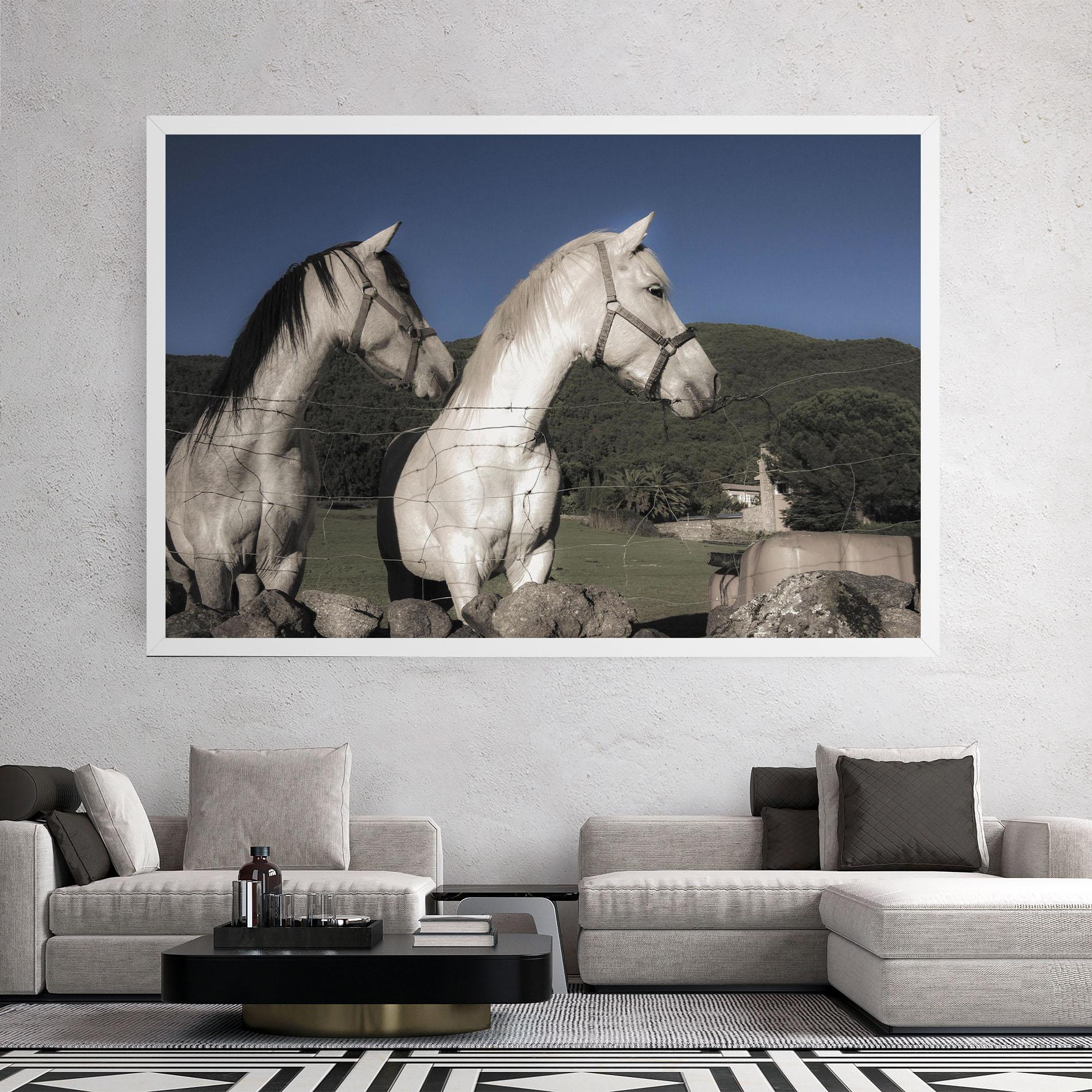Leinwandbild White Grey Horse mockup 2