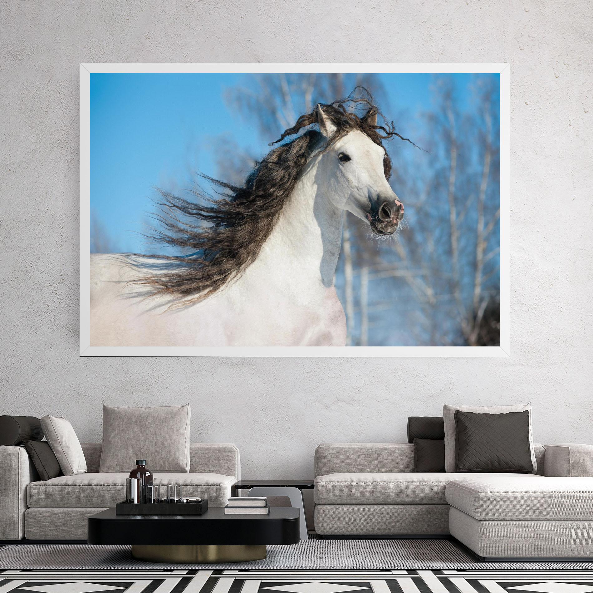 Leinwandbild Wild Black Hair Horse mockup 2