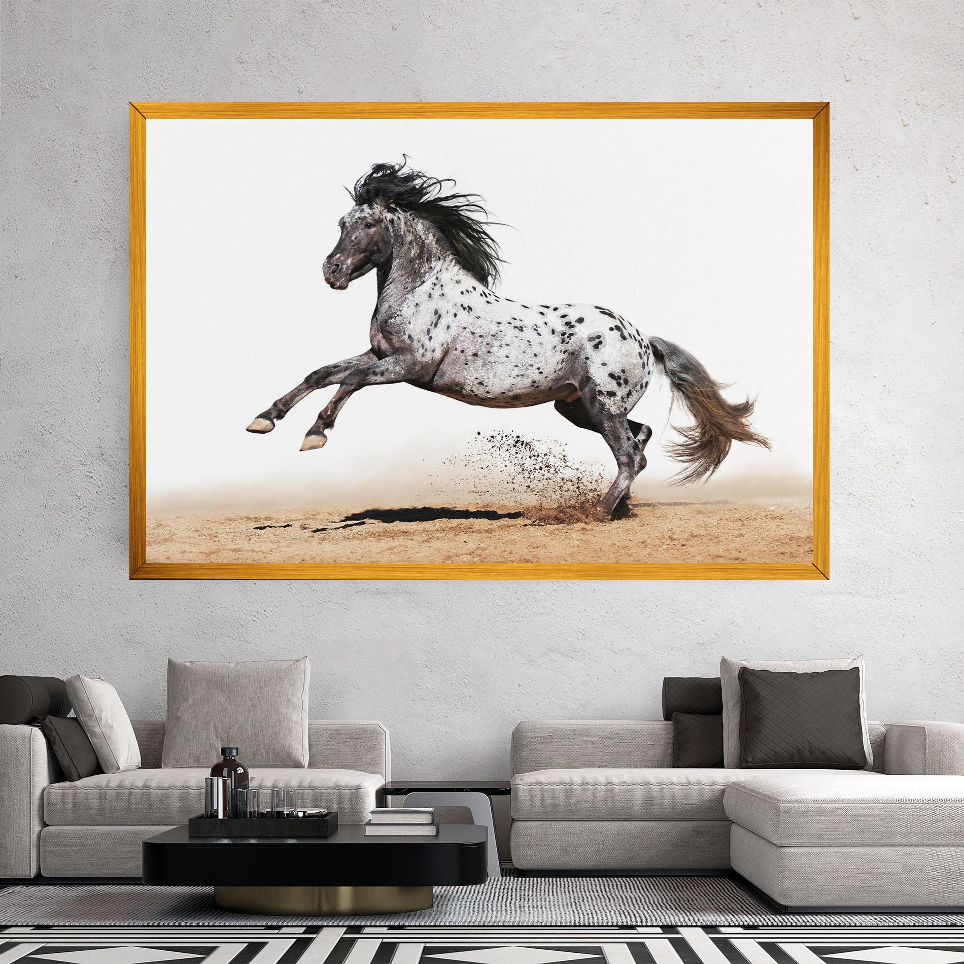 Leinwandbild Appaloosa Horse Running mockup 2