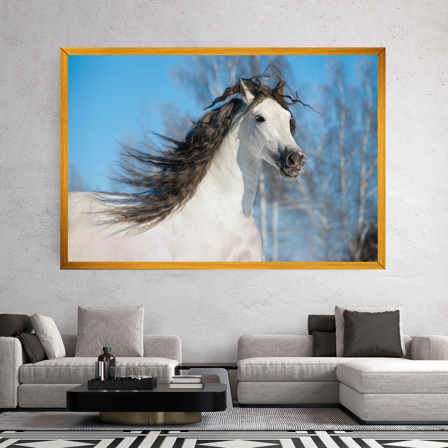 Leinwandbild Wild Black Hair Horse mockup 2