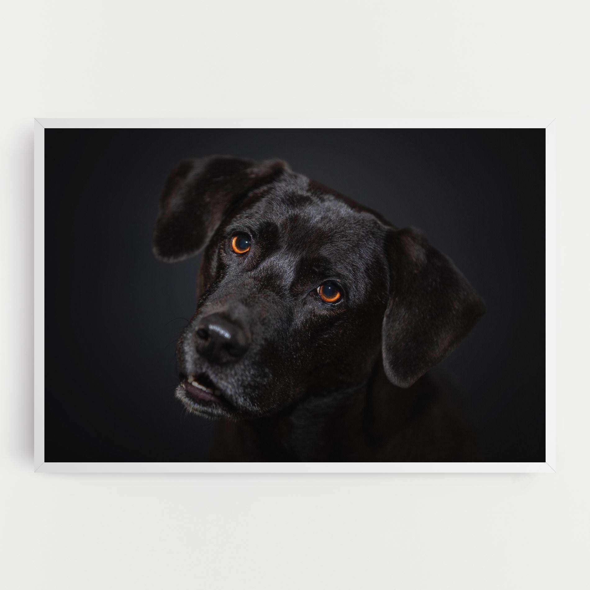 Black Dog Portrait mockup 0