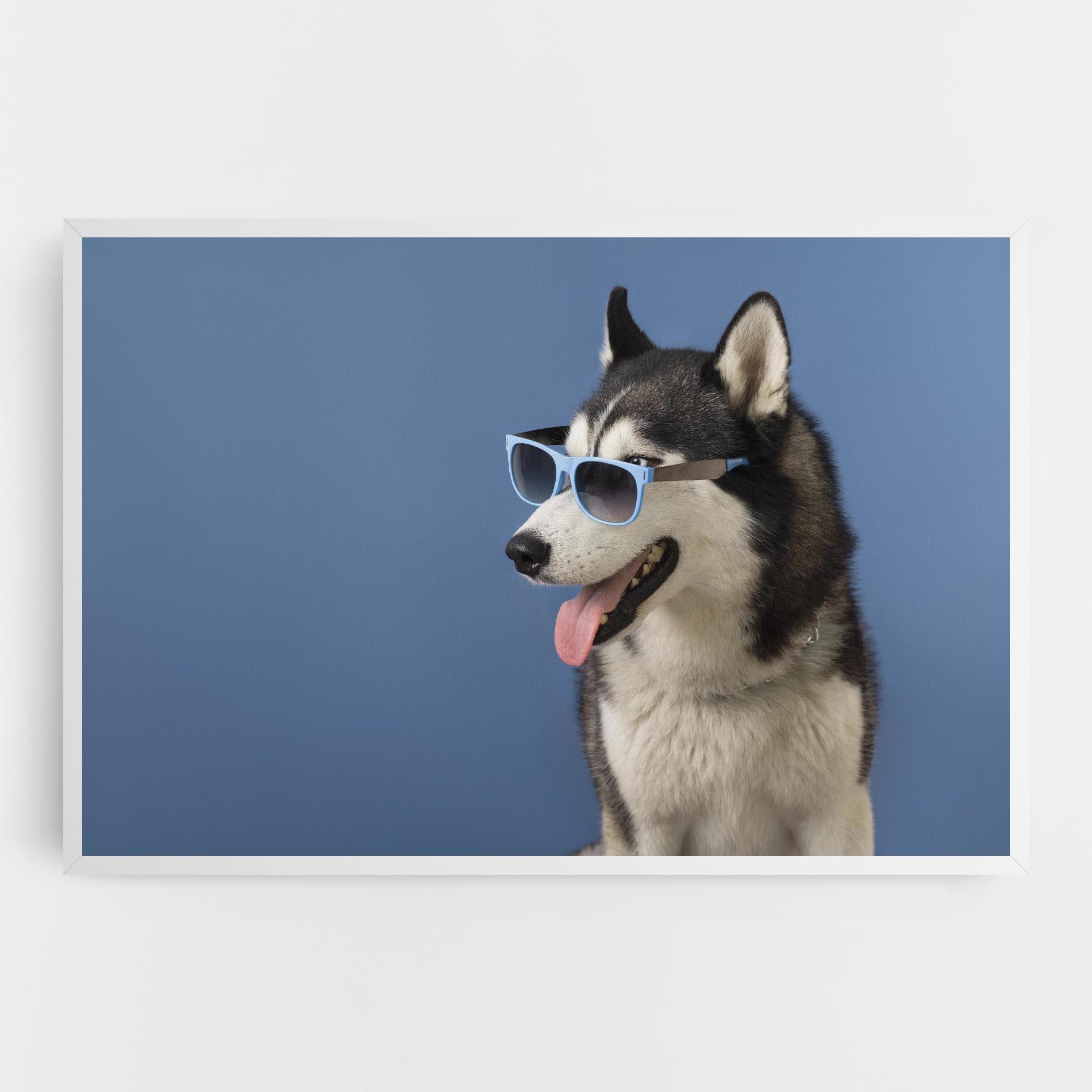 Leinwandbild Blue Glasses Dog mockup 0