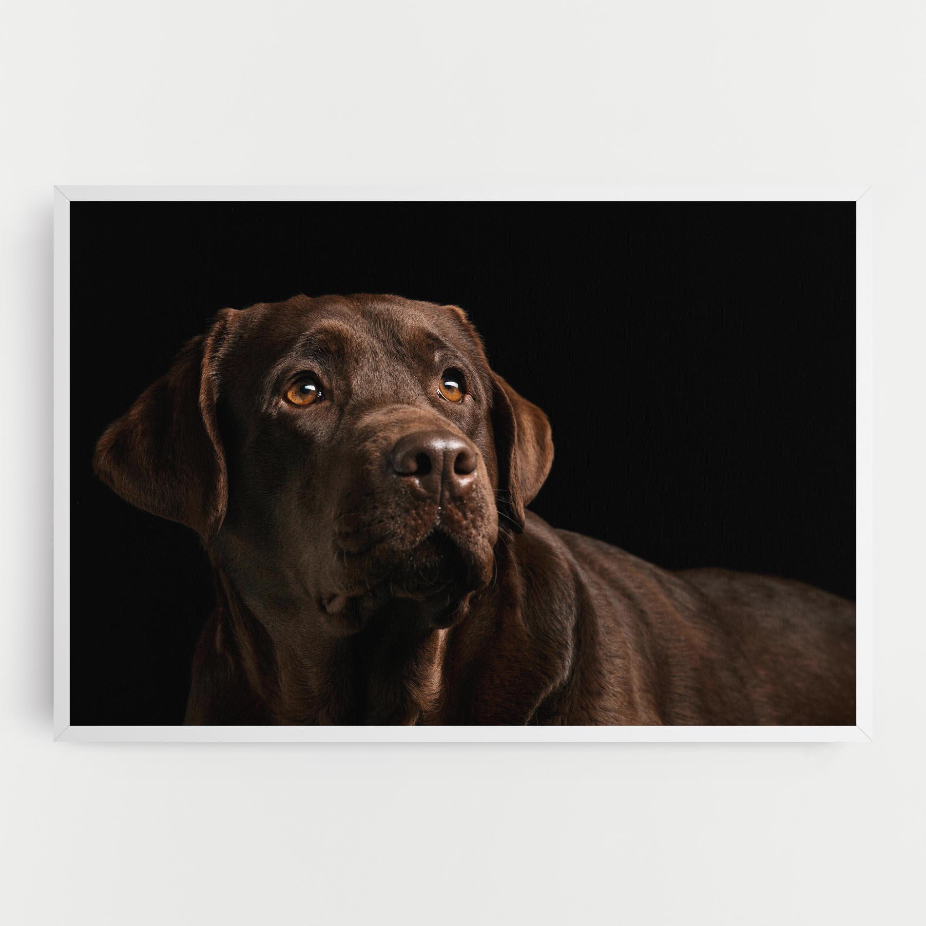 Leinwandbild Brown Labrador mockup 0