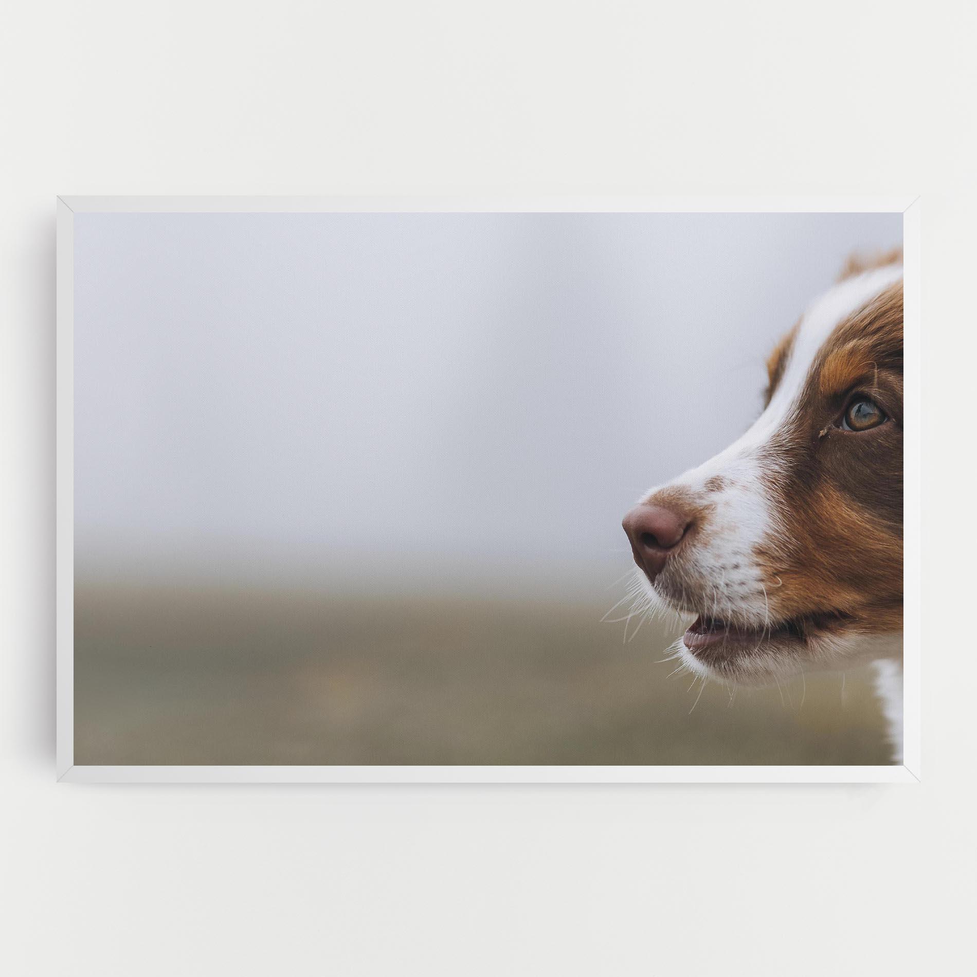 Leinwandbild Brown White Dog mockup 0