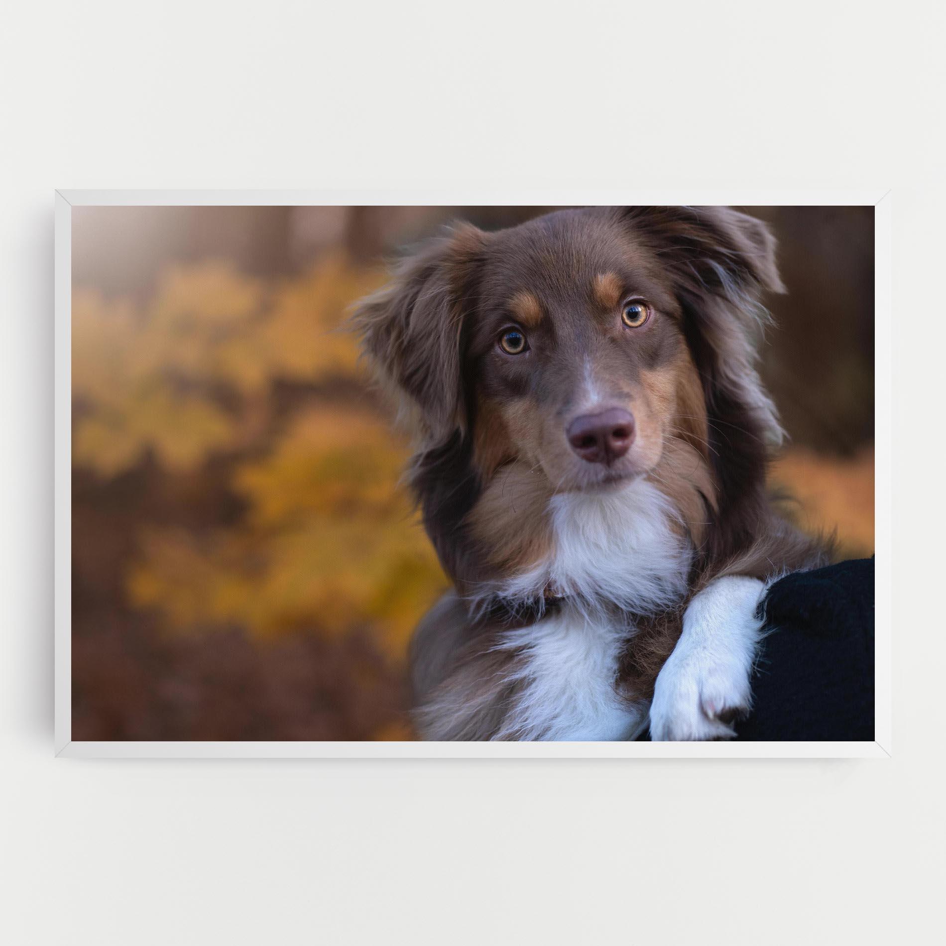 Leinwandbild Coffee Brown Dog mockup 0