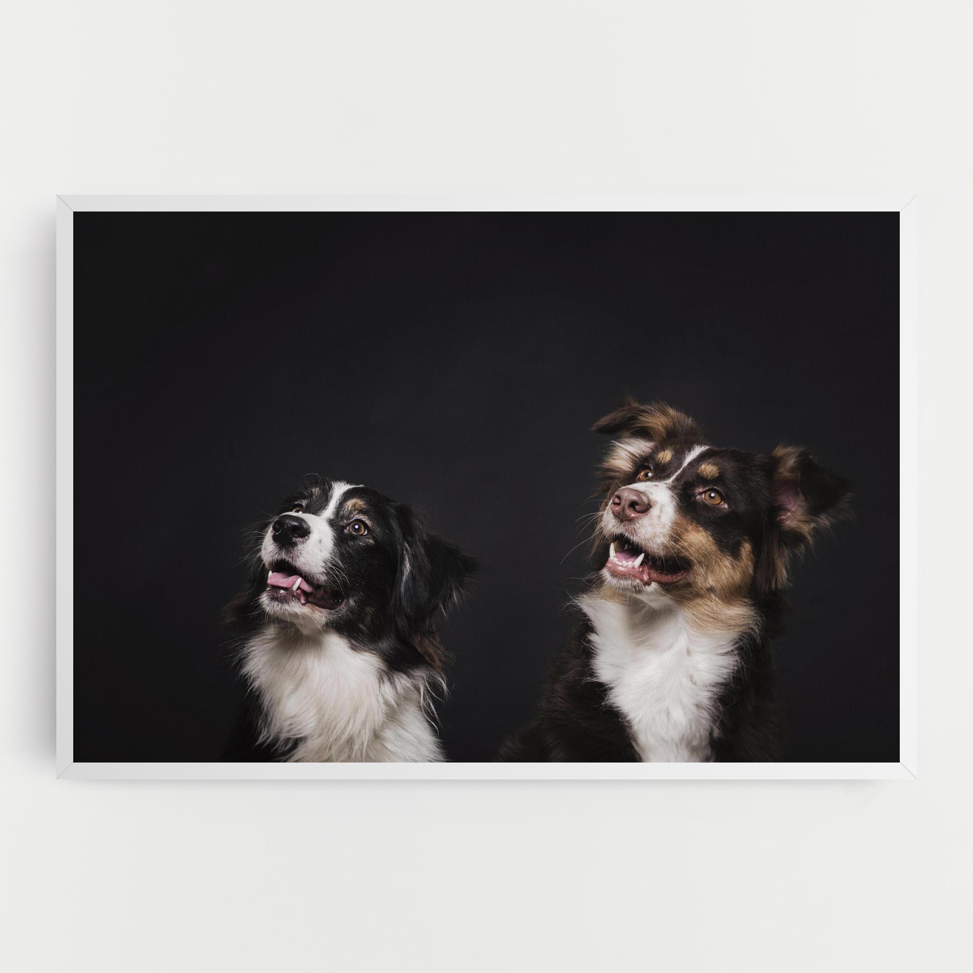 Leinwandbild Cute Dogs Standing mockup 0