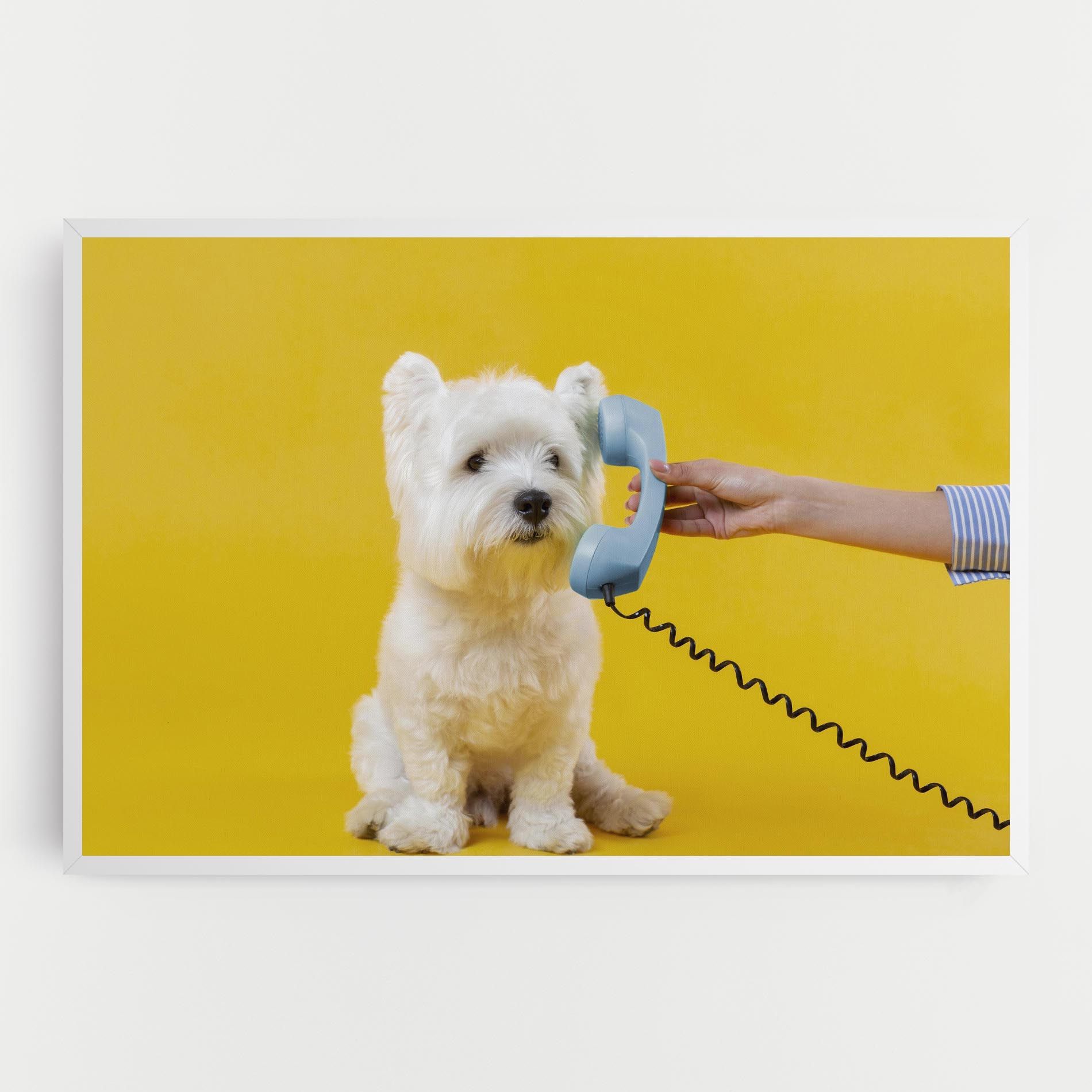Cute Little Dog mockup 0