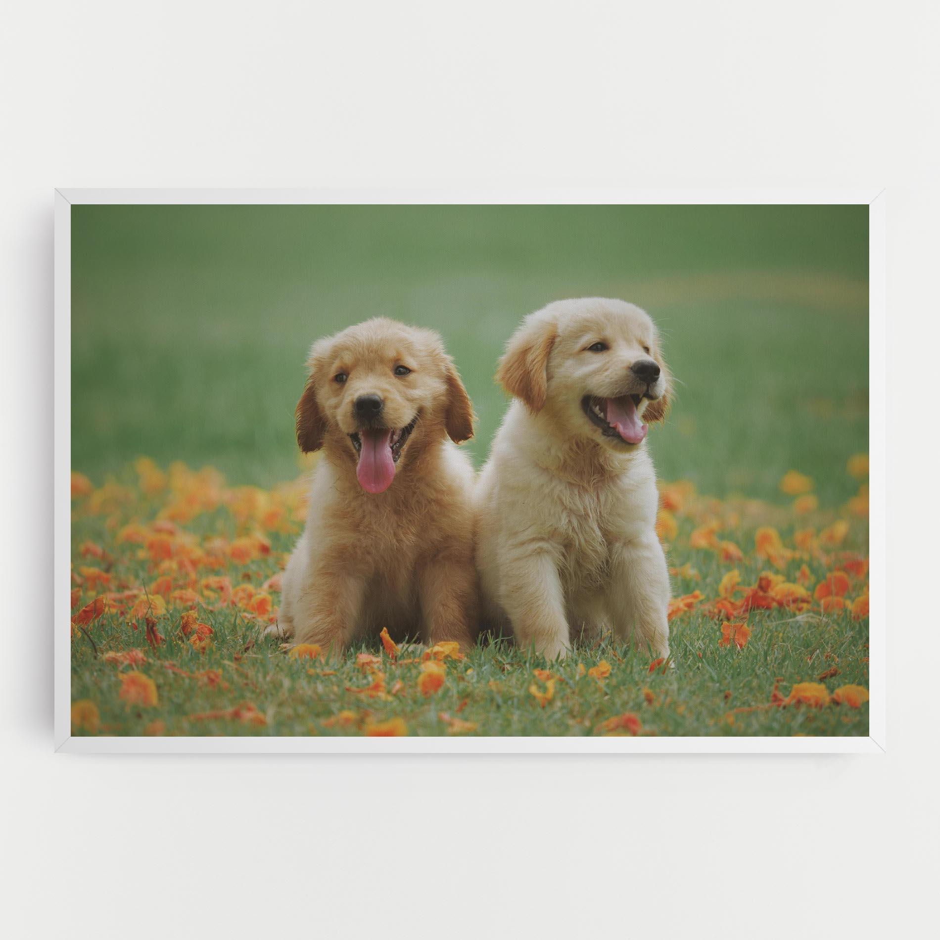 Leinwandbild Happy Dogs mockup 0