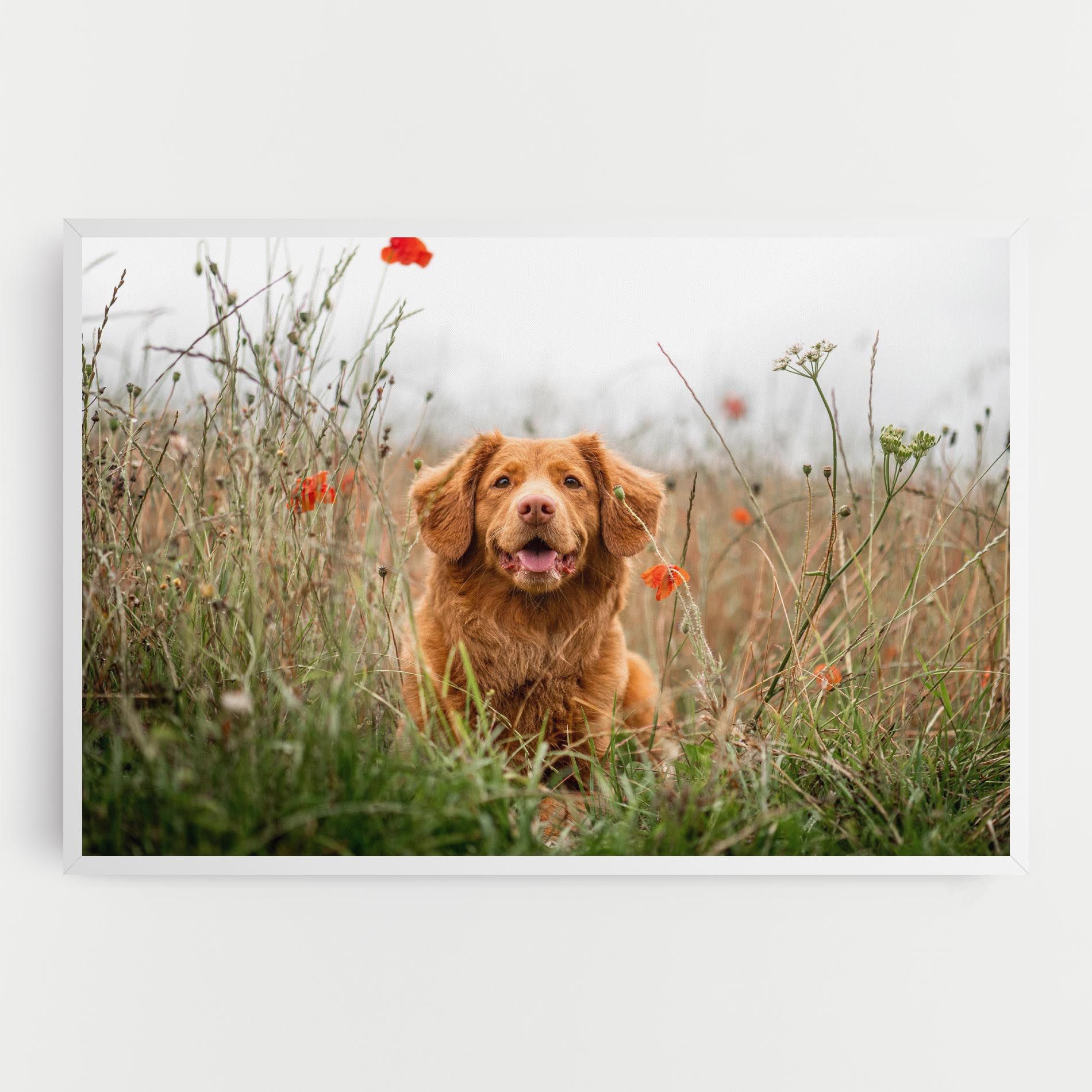Red Flowers Dog mockup 0