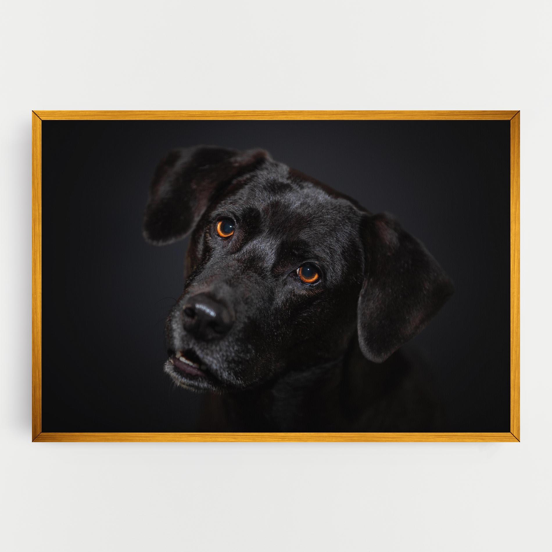 Leinwandbild Black Dog Portrait mockup 0