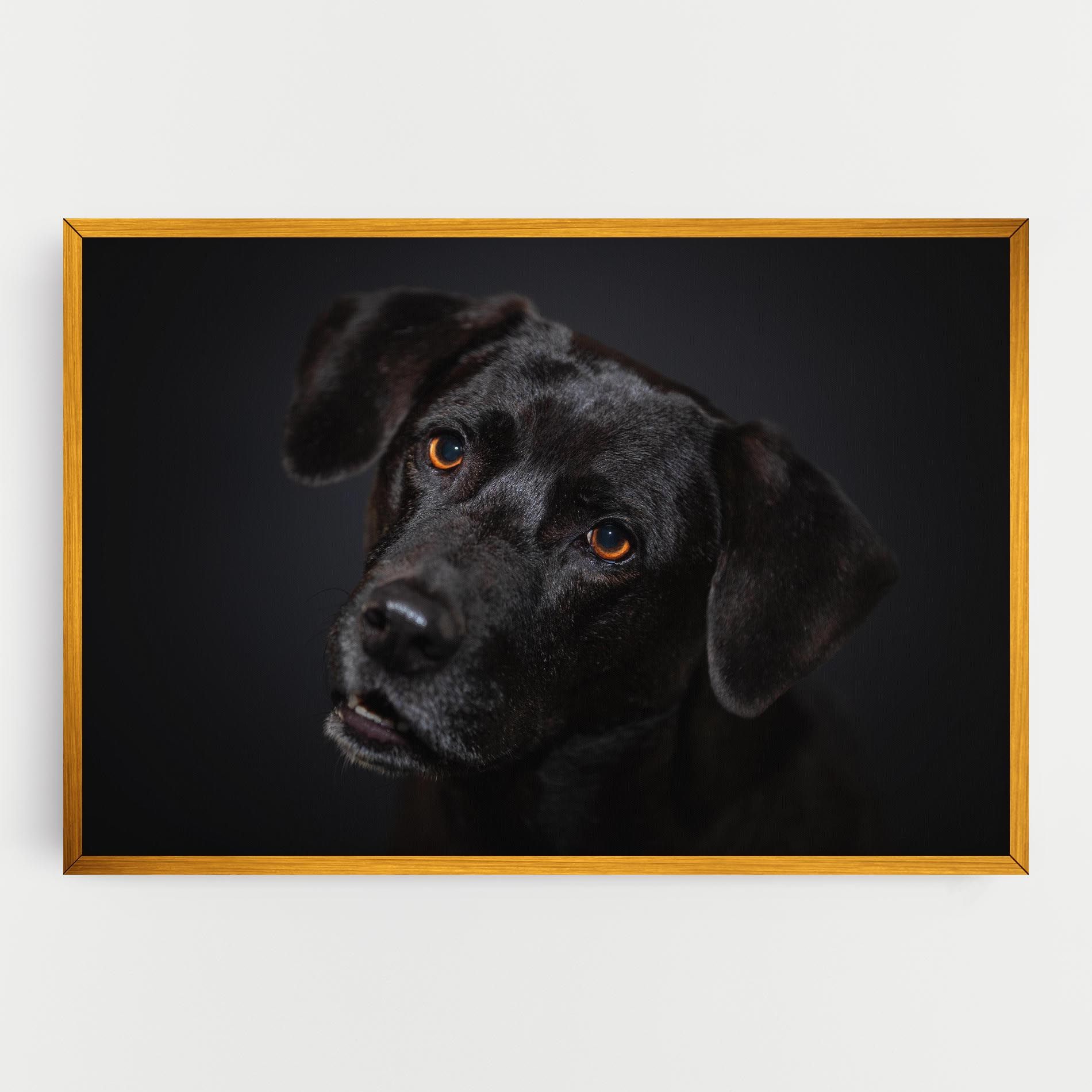 Black Dog Portrait mockup 0